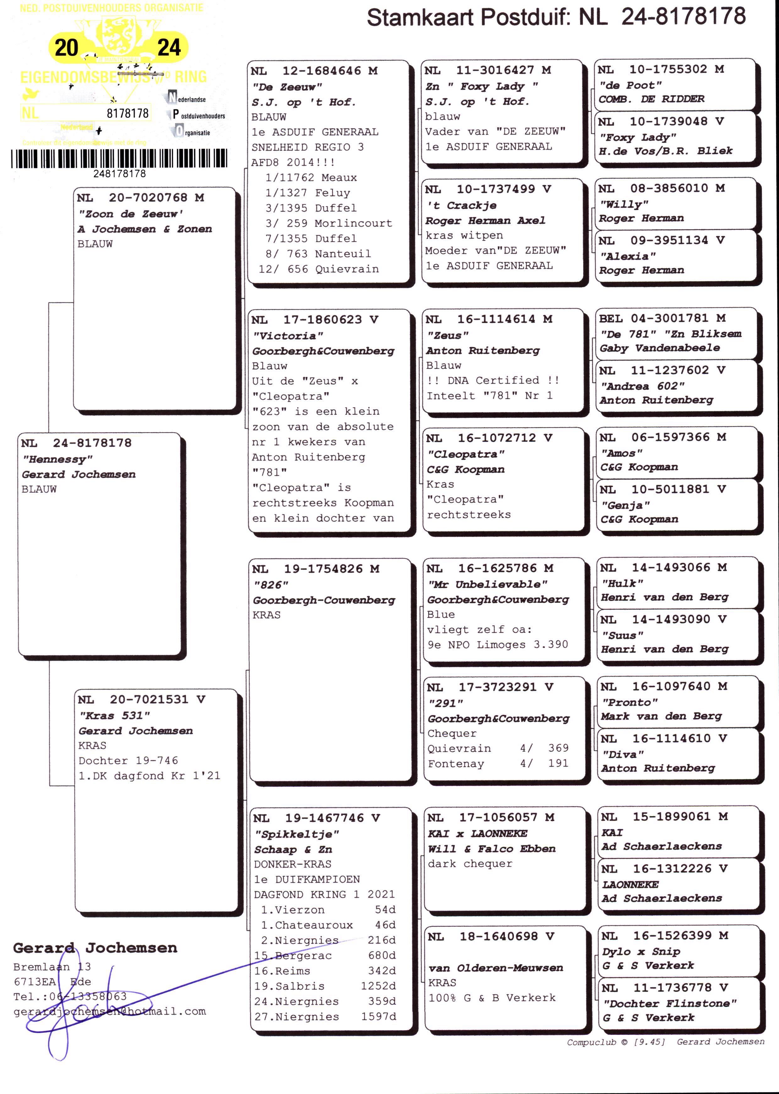 Pigeon pedigree image