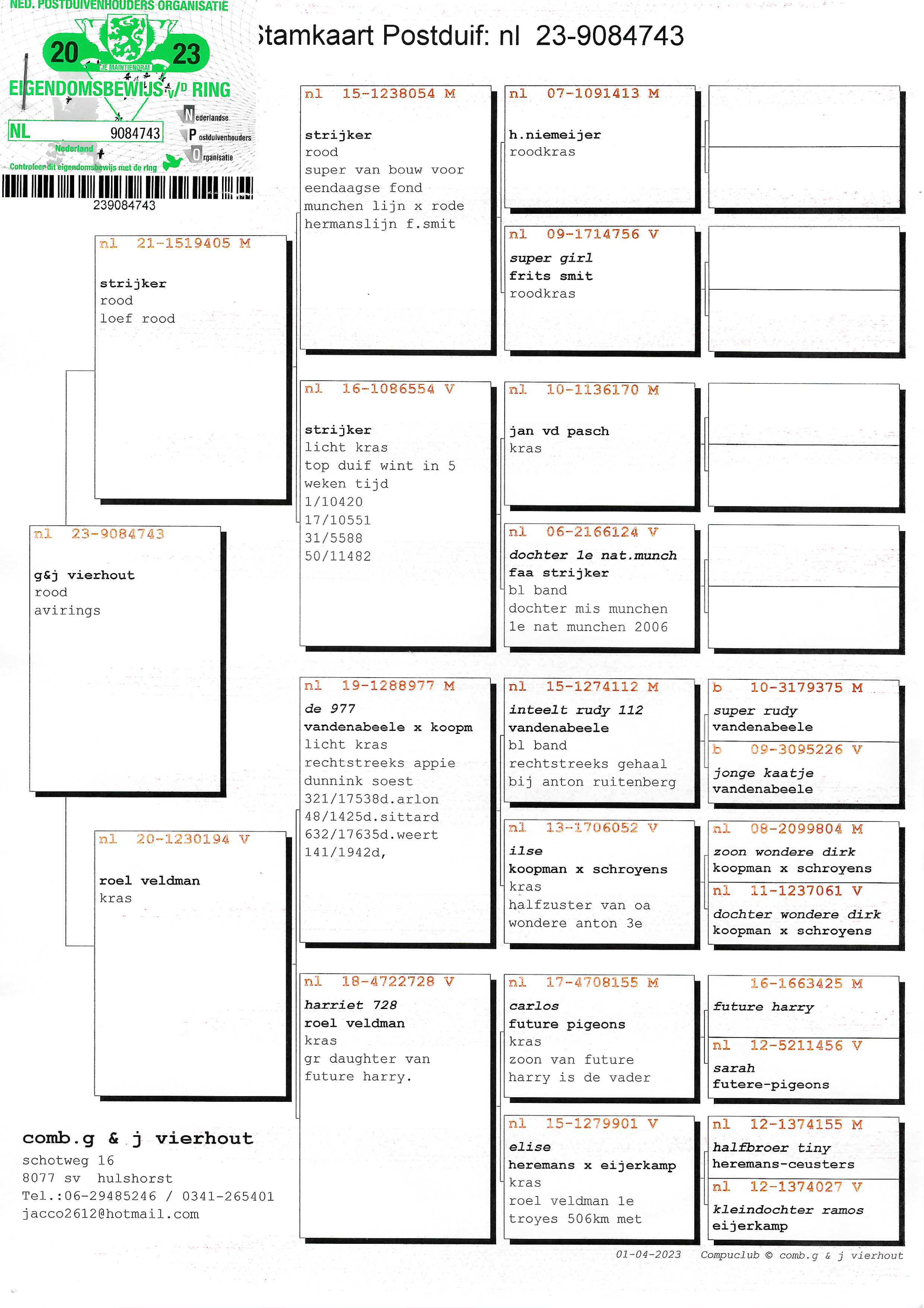 Pigeon pedigree image