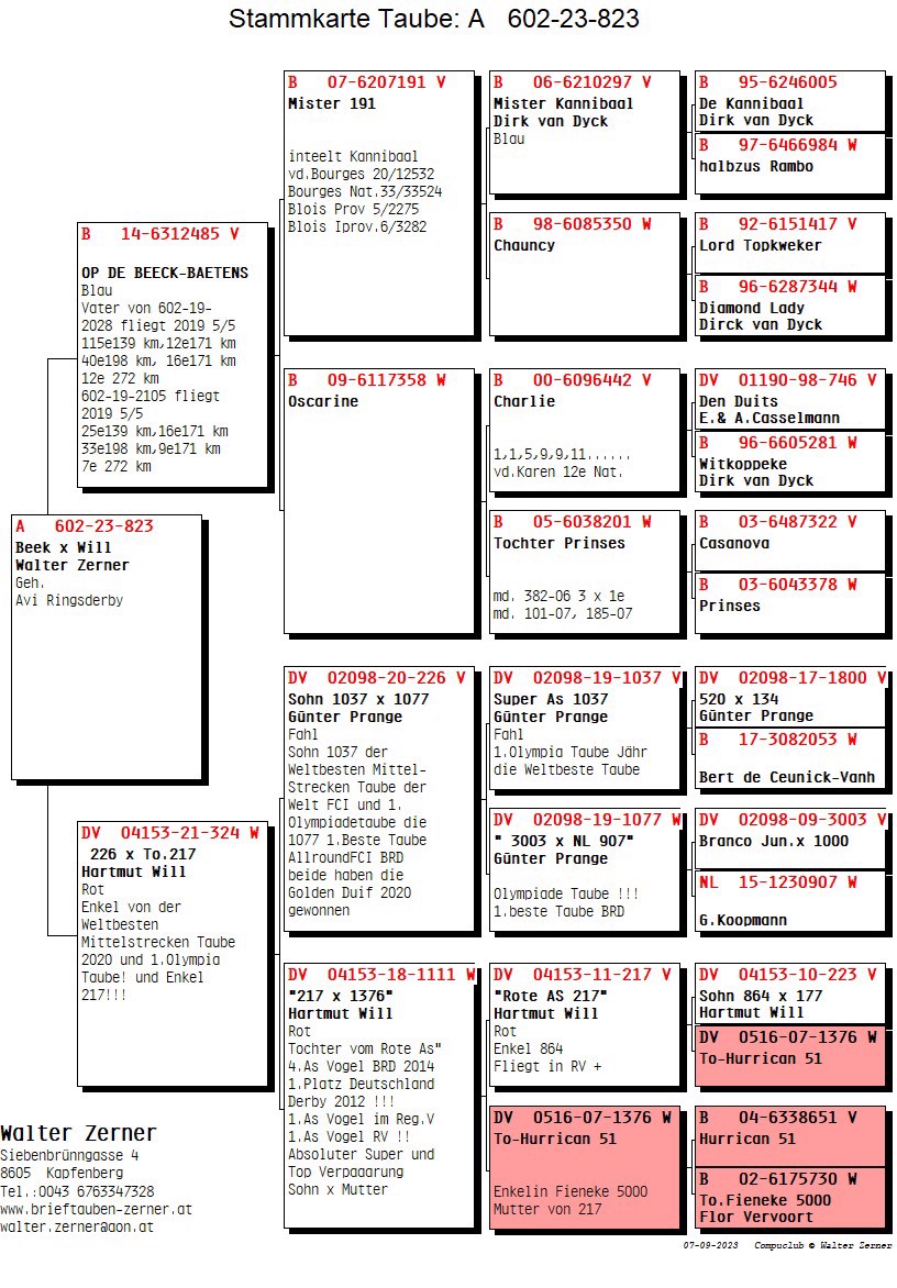 Pigeon pedigree image