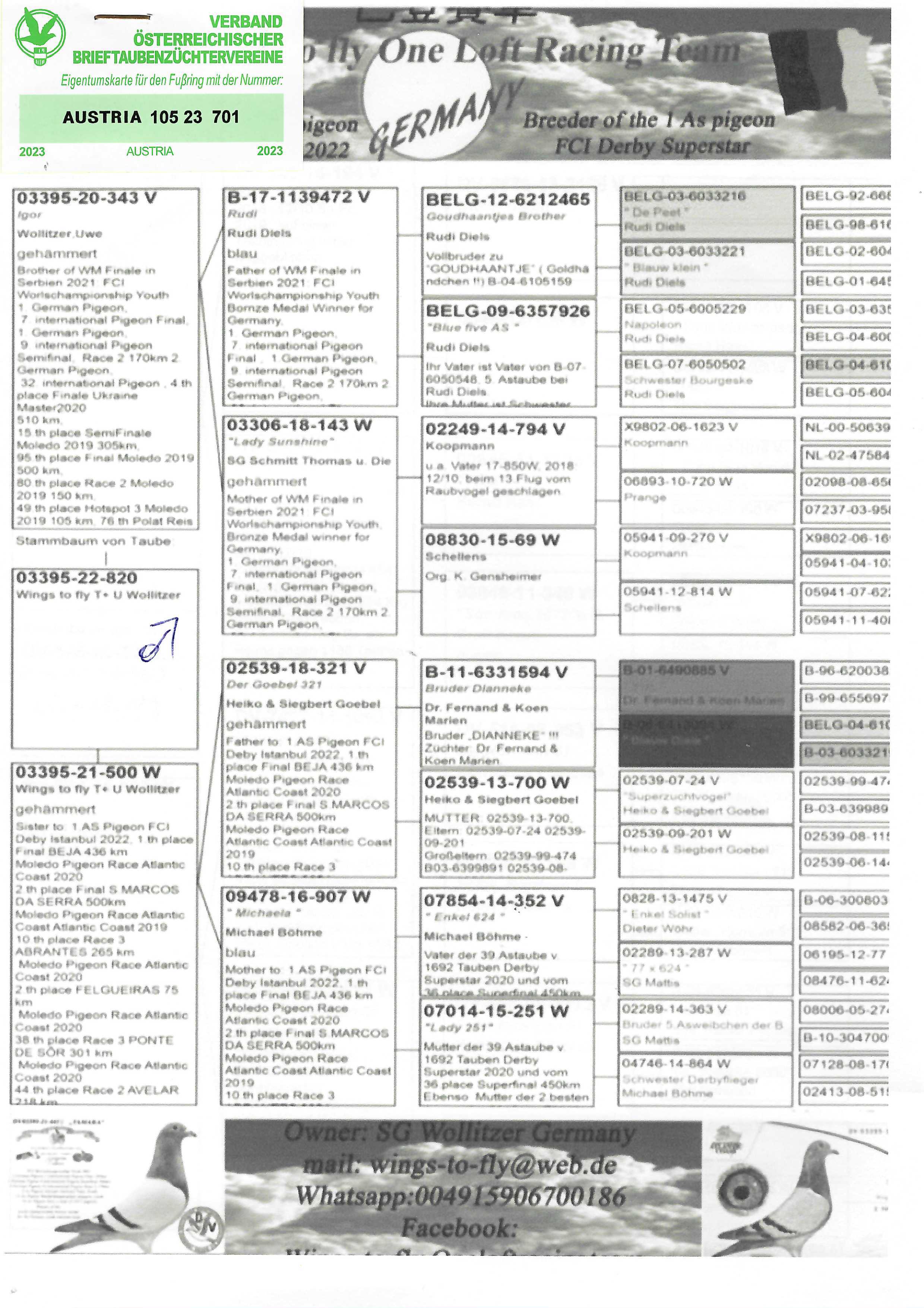 Pigeon pedigree image