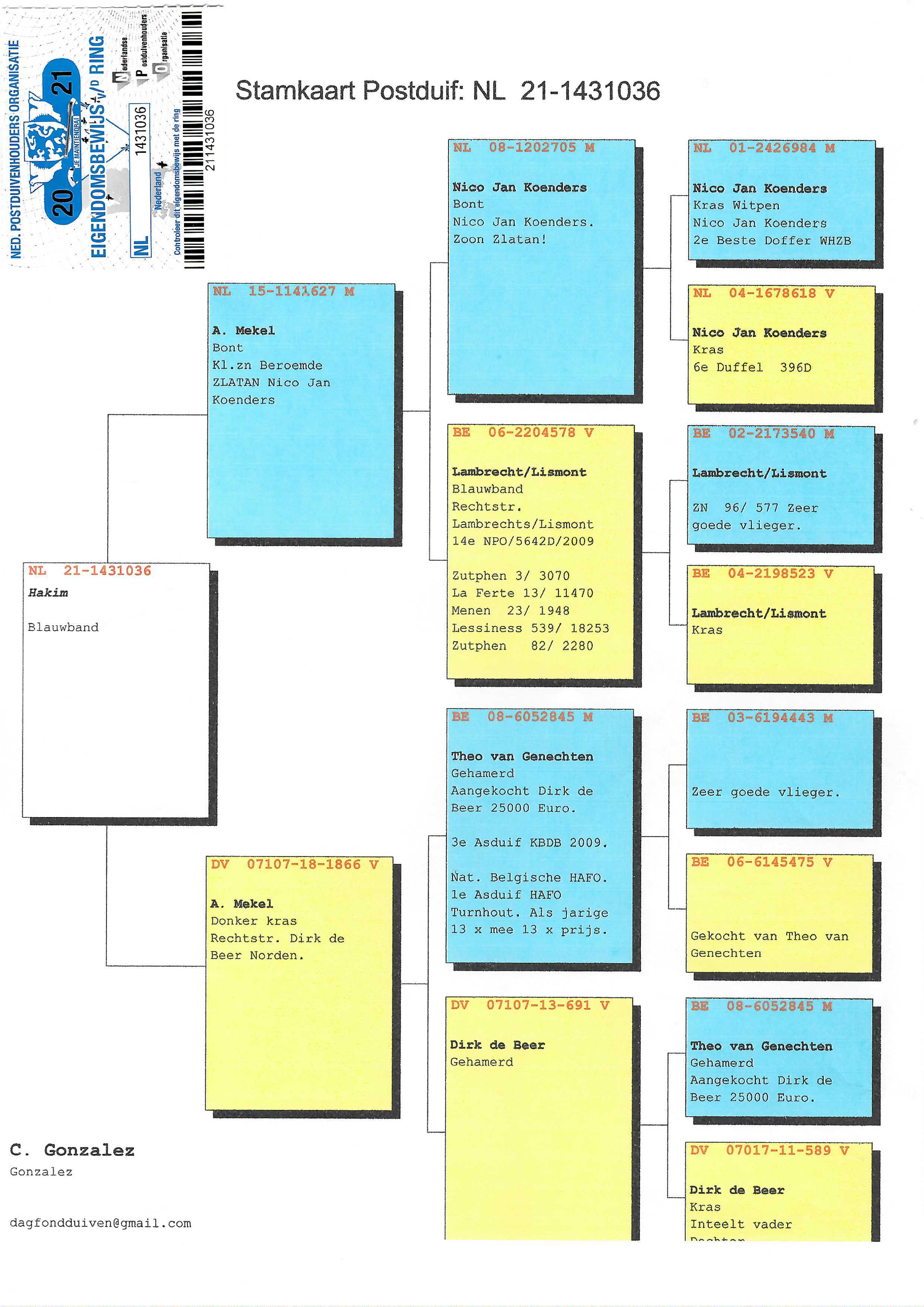 Pigeon pedigree image