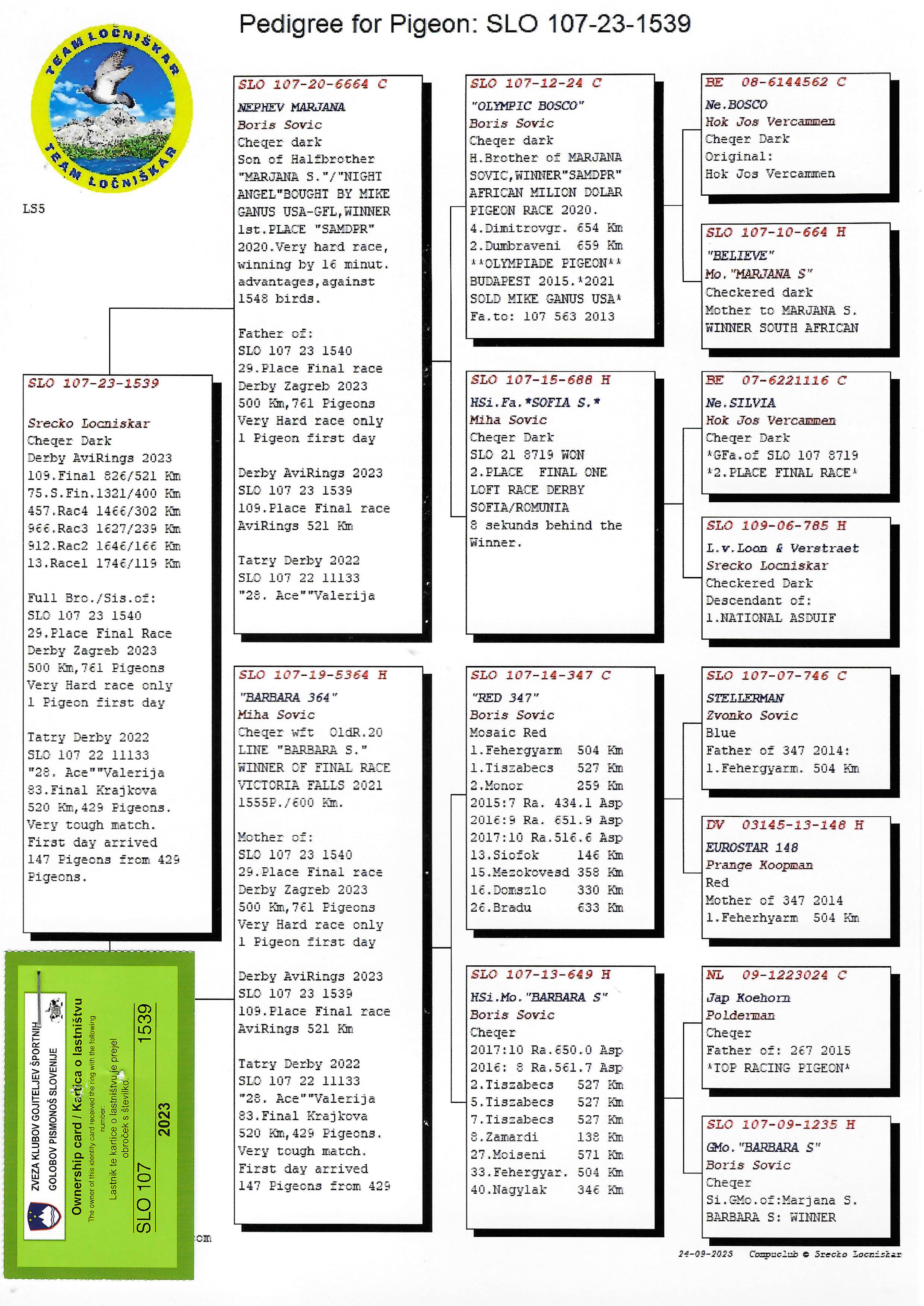 Pigeon pedigree image