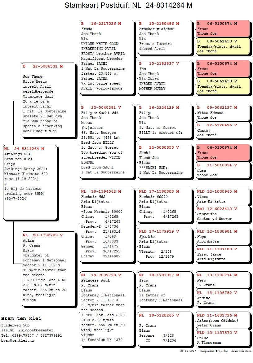 Pigeon pedigree image