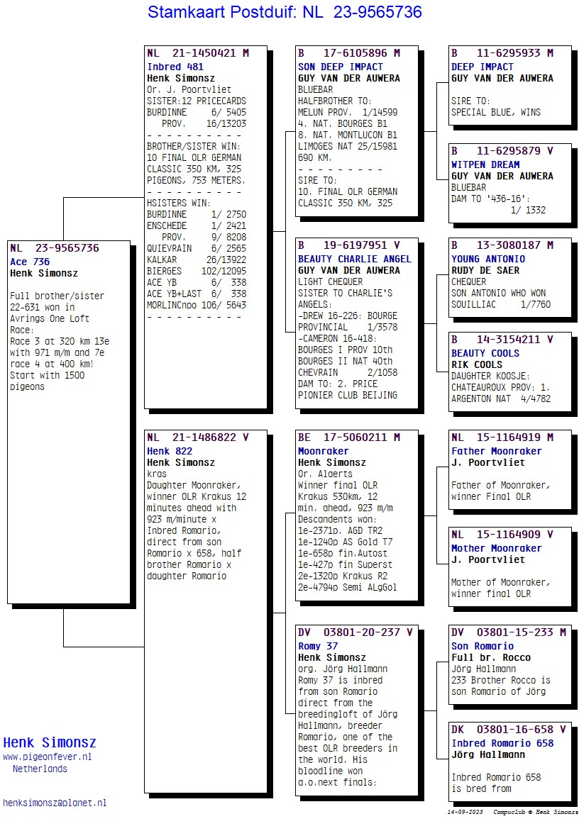 Pigeon pedigree image