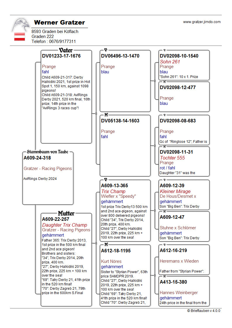 Pigeon pedigree image