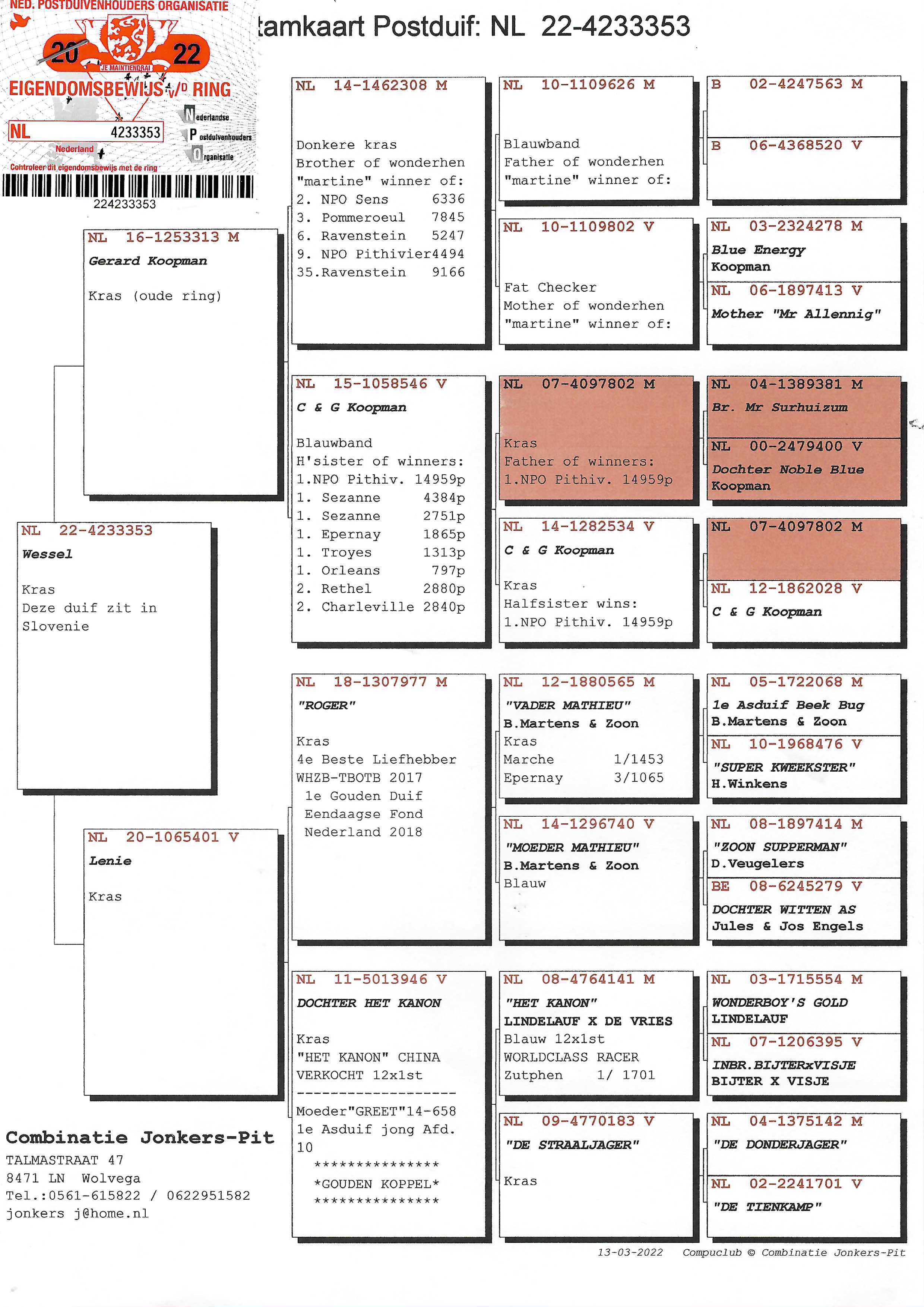 Pigeon pedigree image