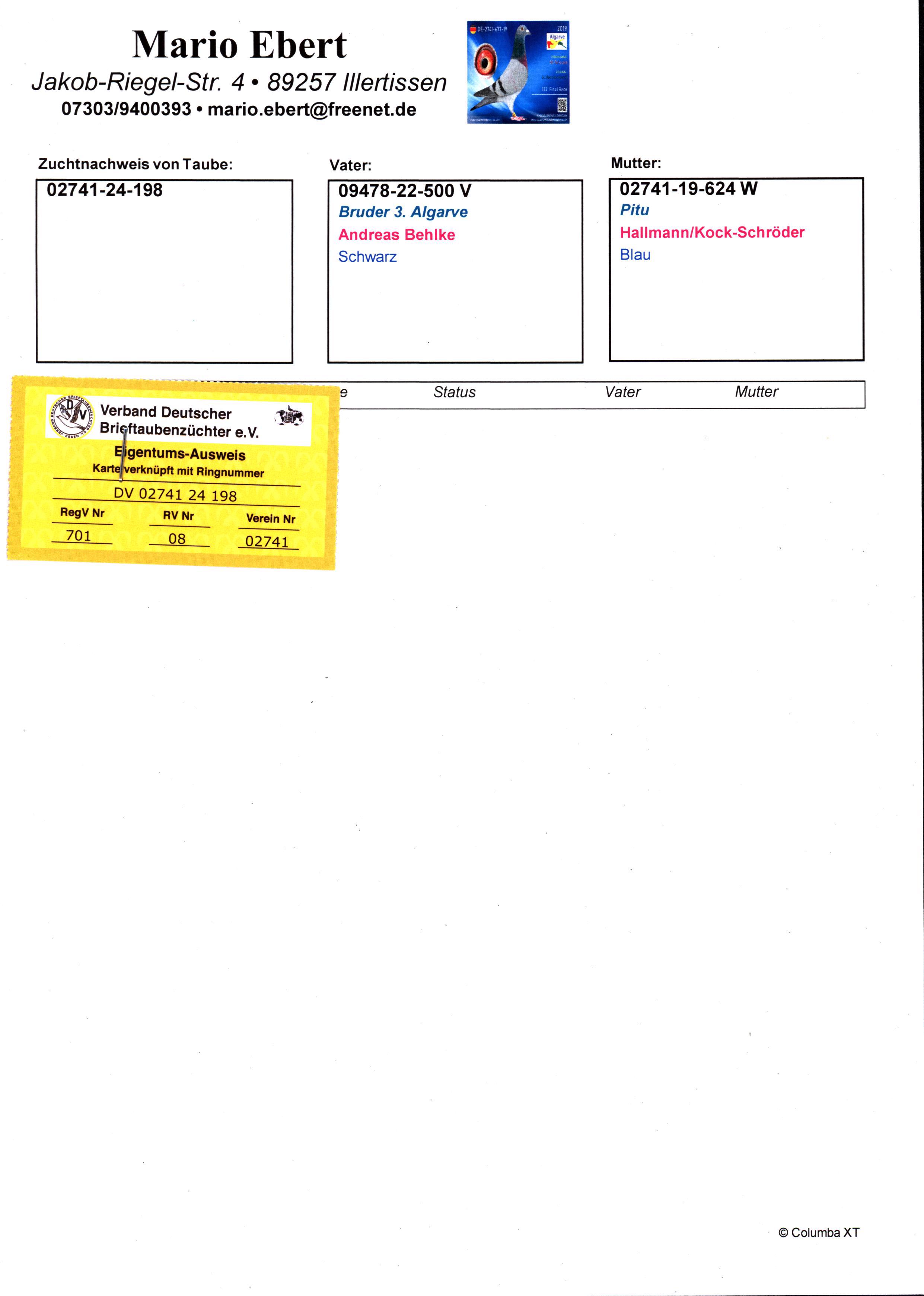 Pigeon pedigree image