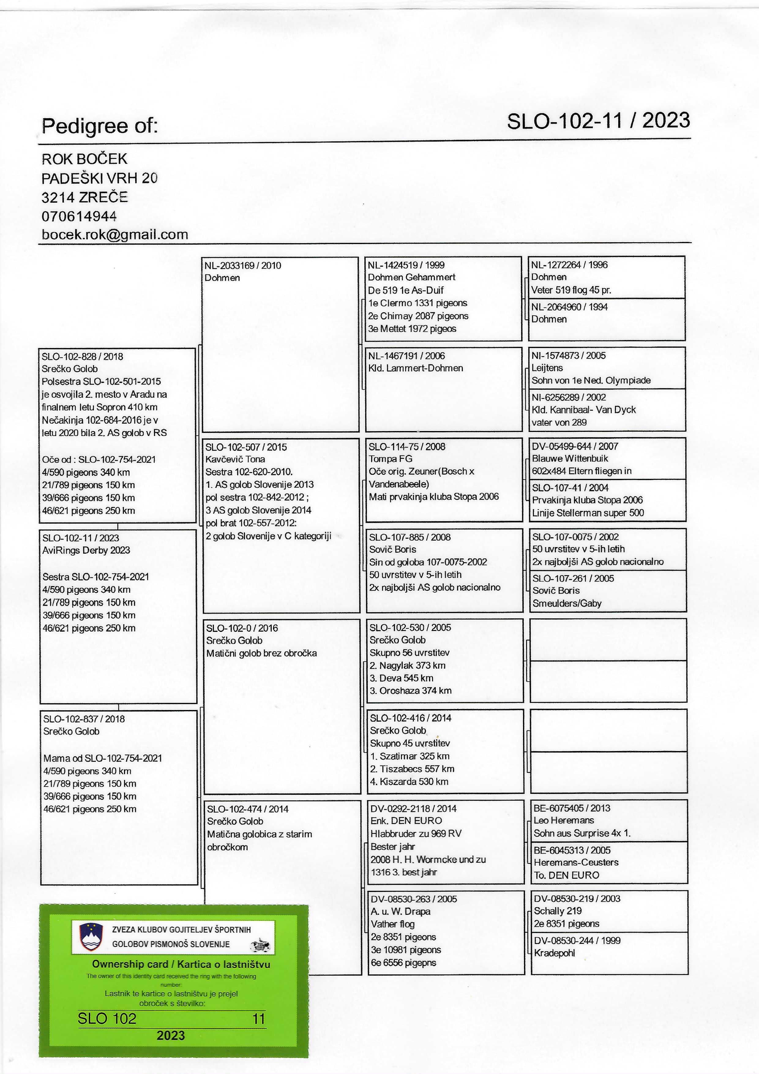 Pigeon pedigree image