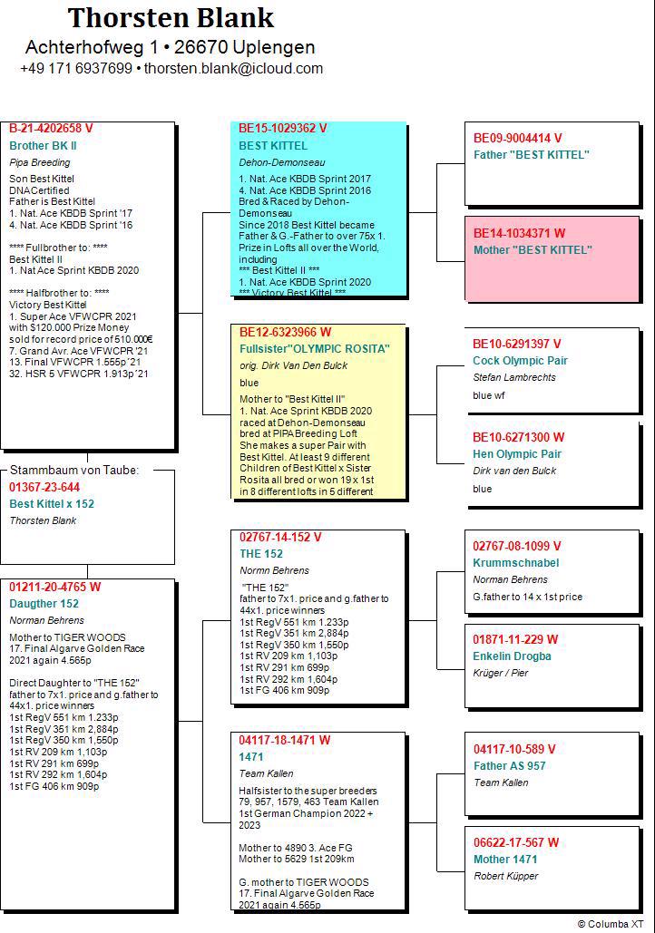 Pigeon pedigree image