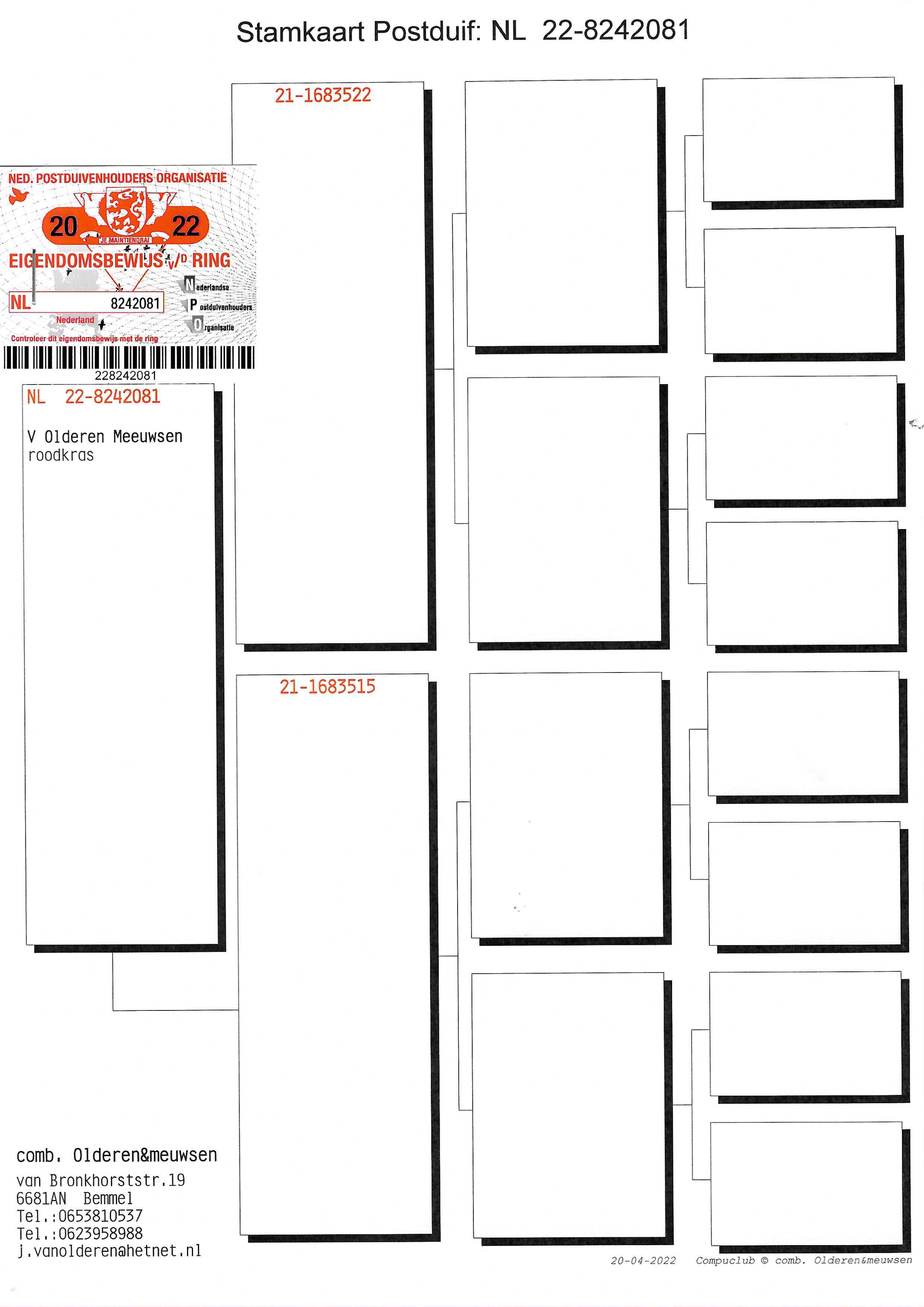Pigeon pedigree image