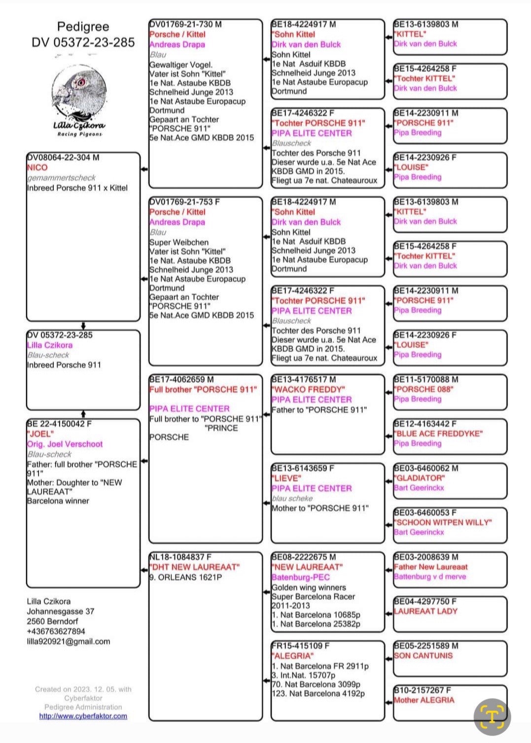 Pigeon pedigree image