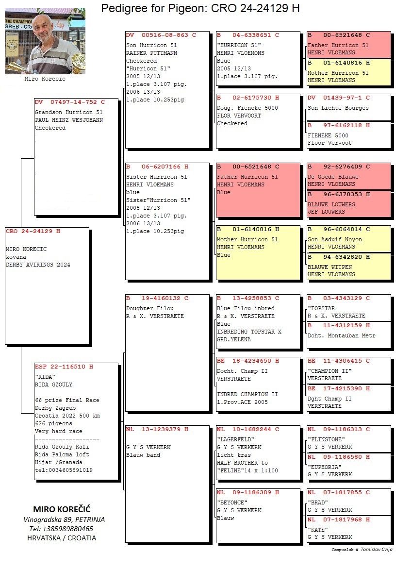 Pigeon pedigree image