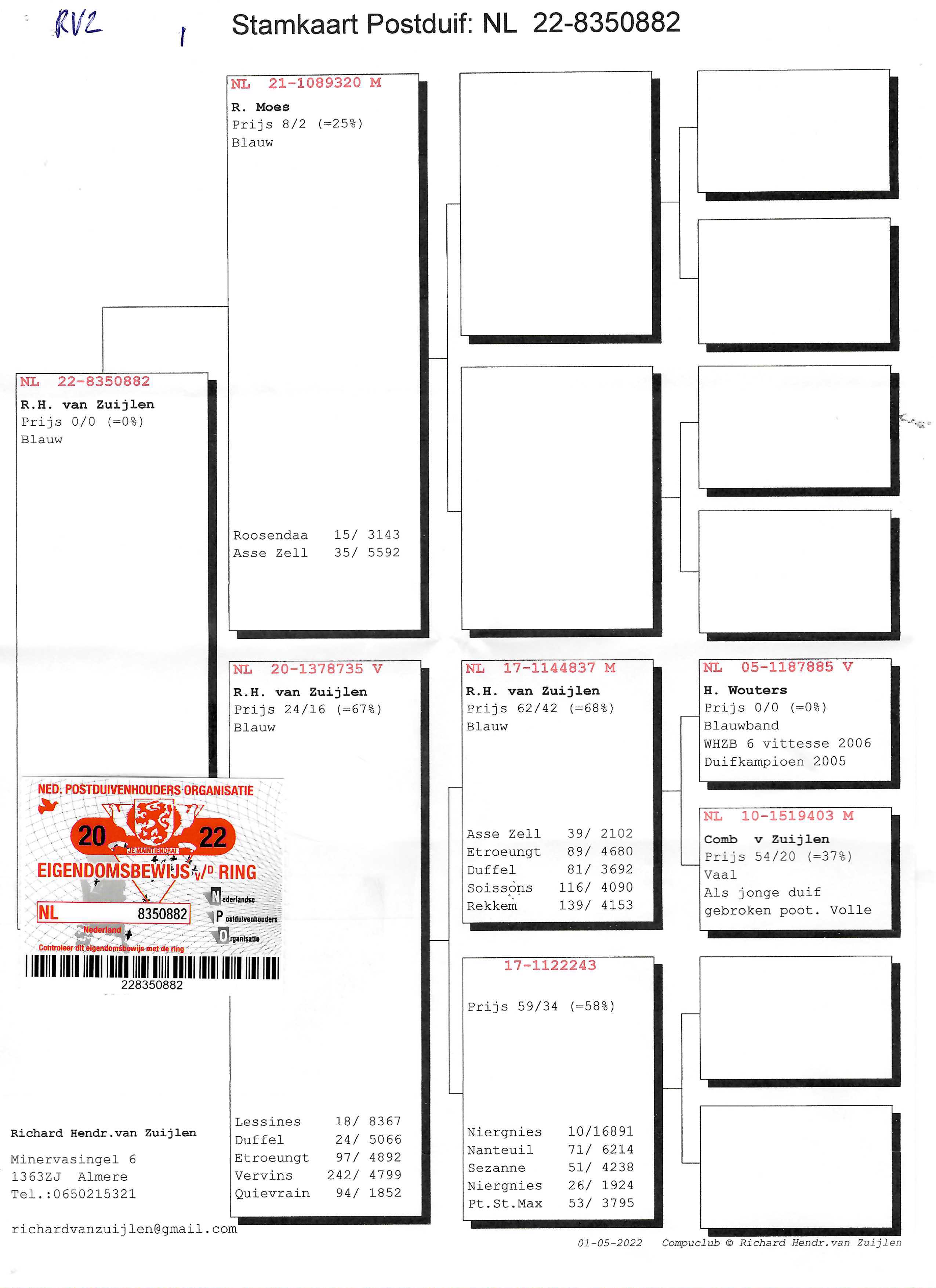 Pigeon pedigree image