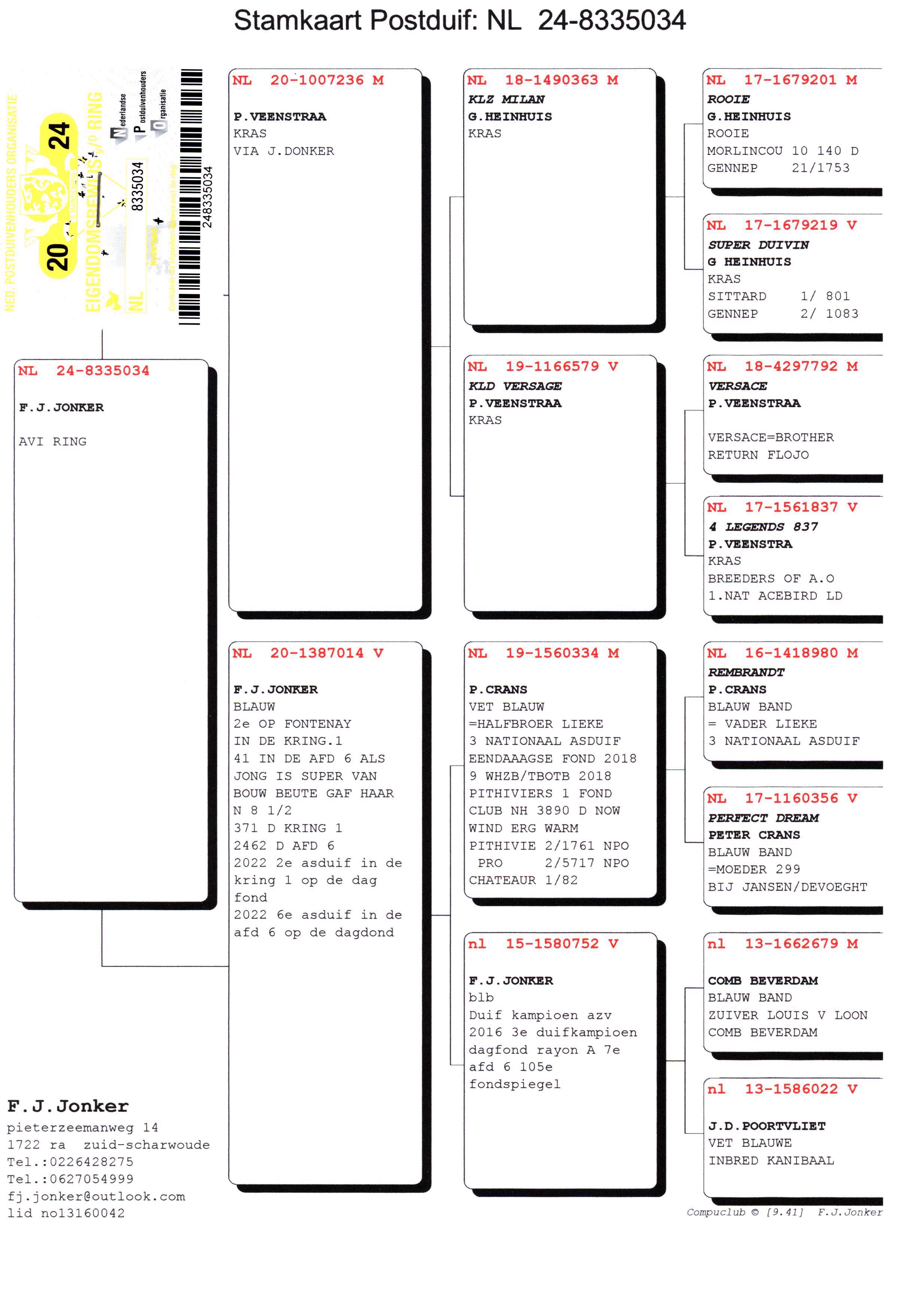 Pigeon pedigree image