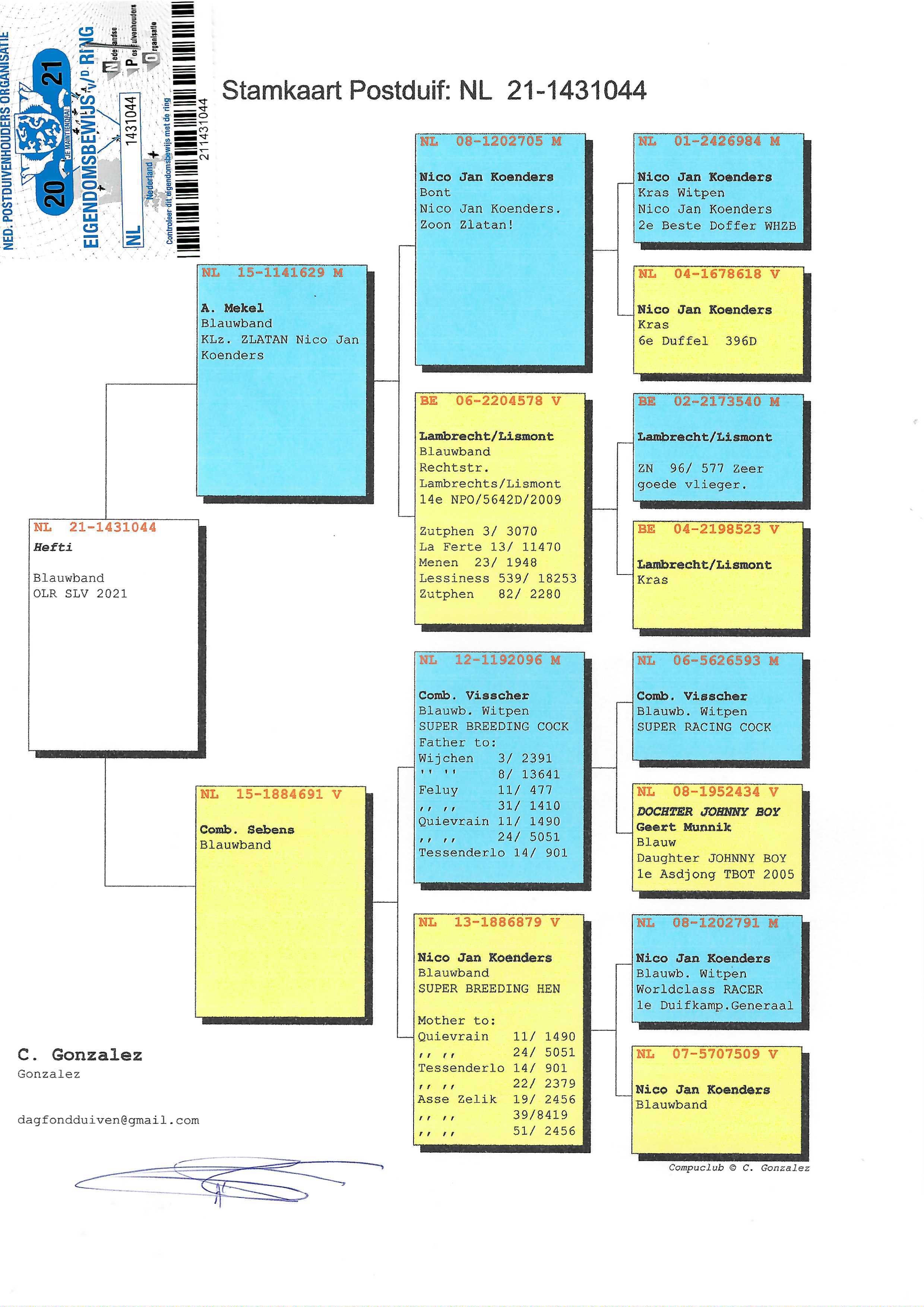 Pigeon pedigree image