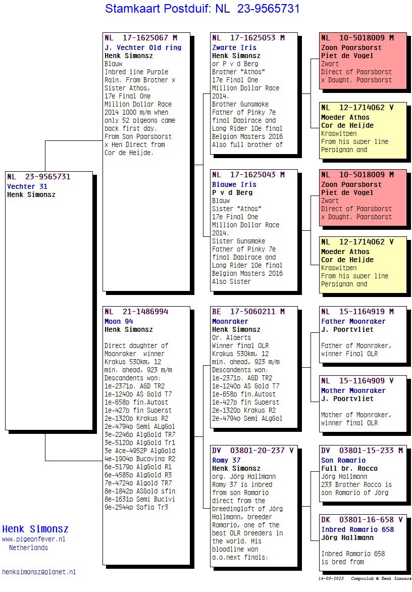 Pigeon pedigree image