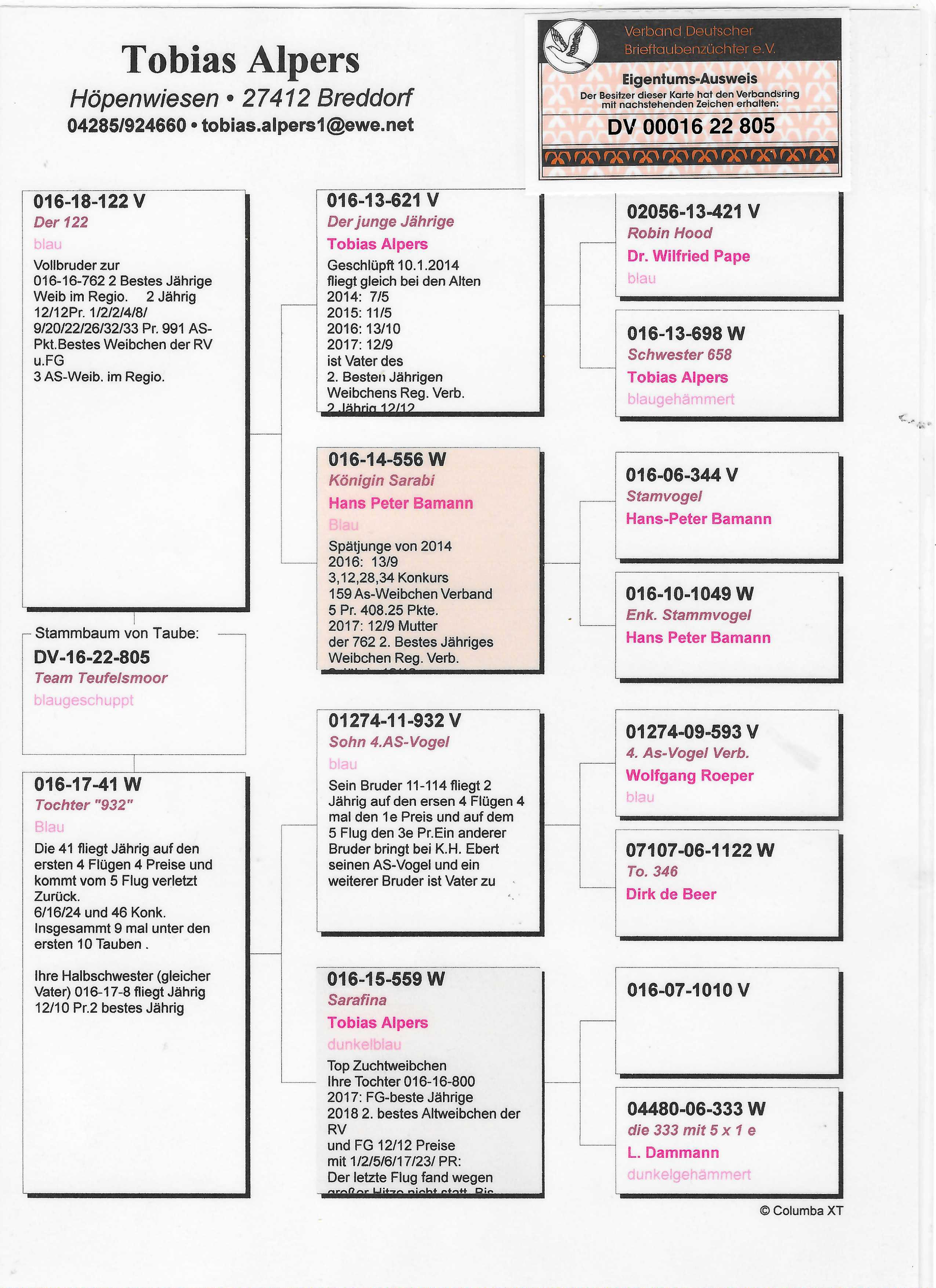 Pigeon pedigree image