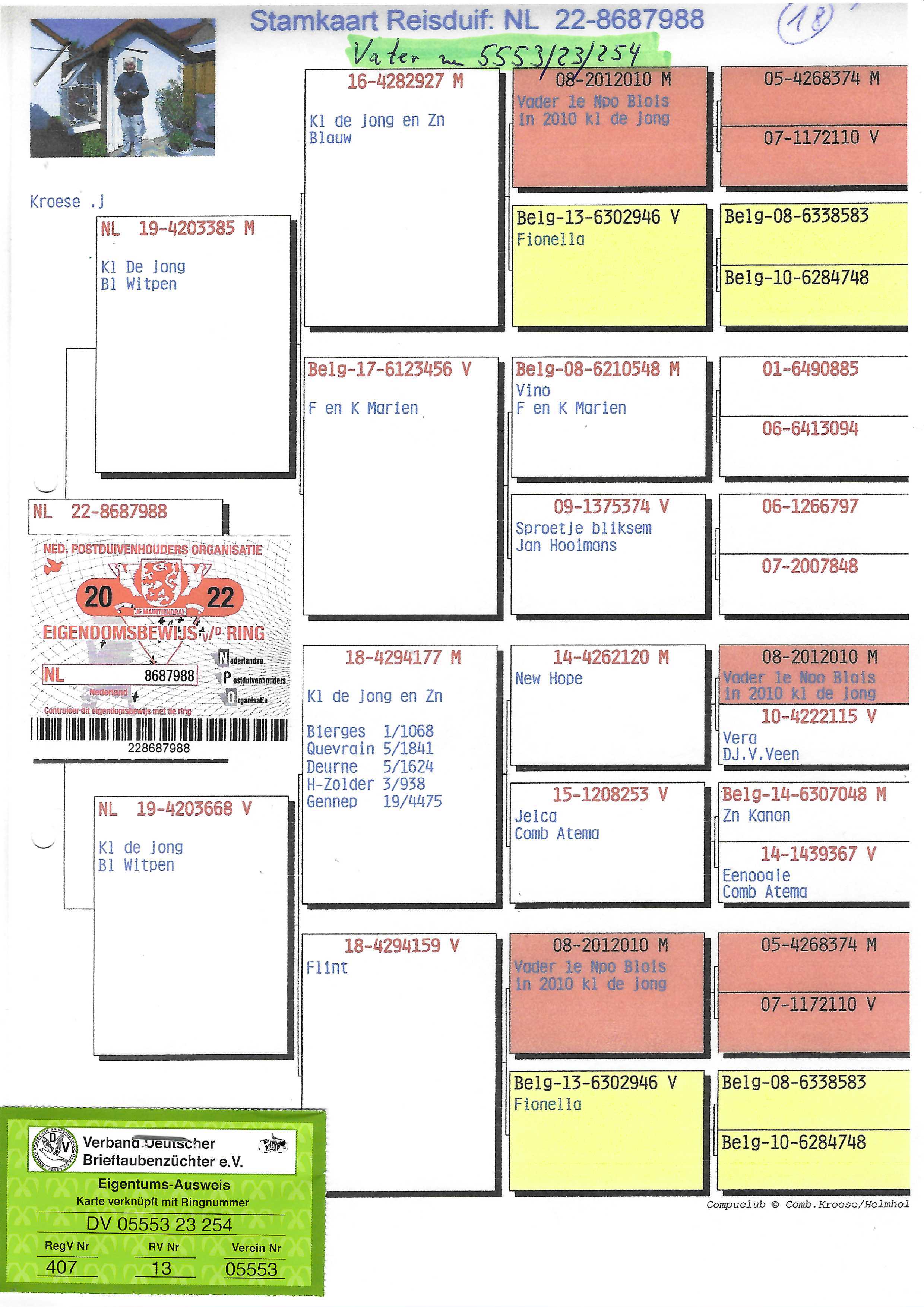 Pigeon pedigree image