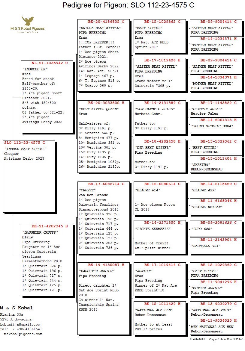 Pigeon pedigree image
