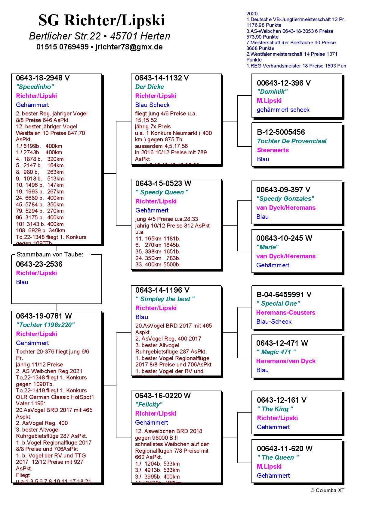 Pigeon pedigree image
