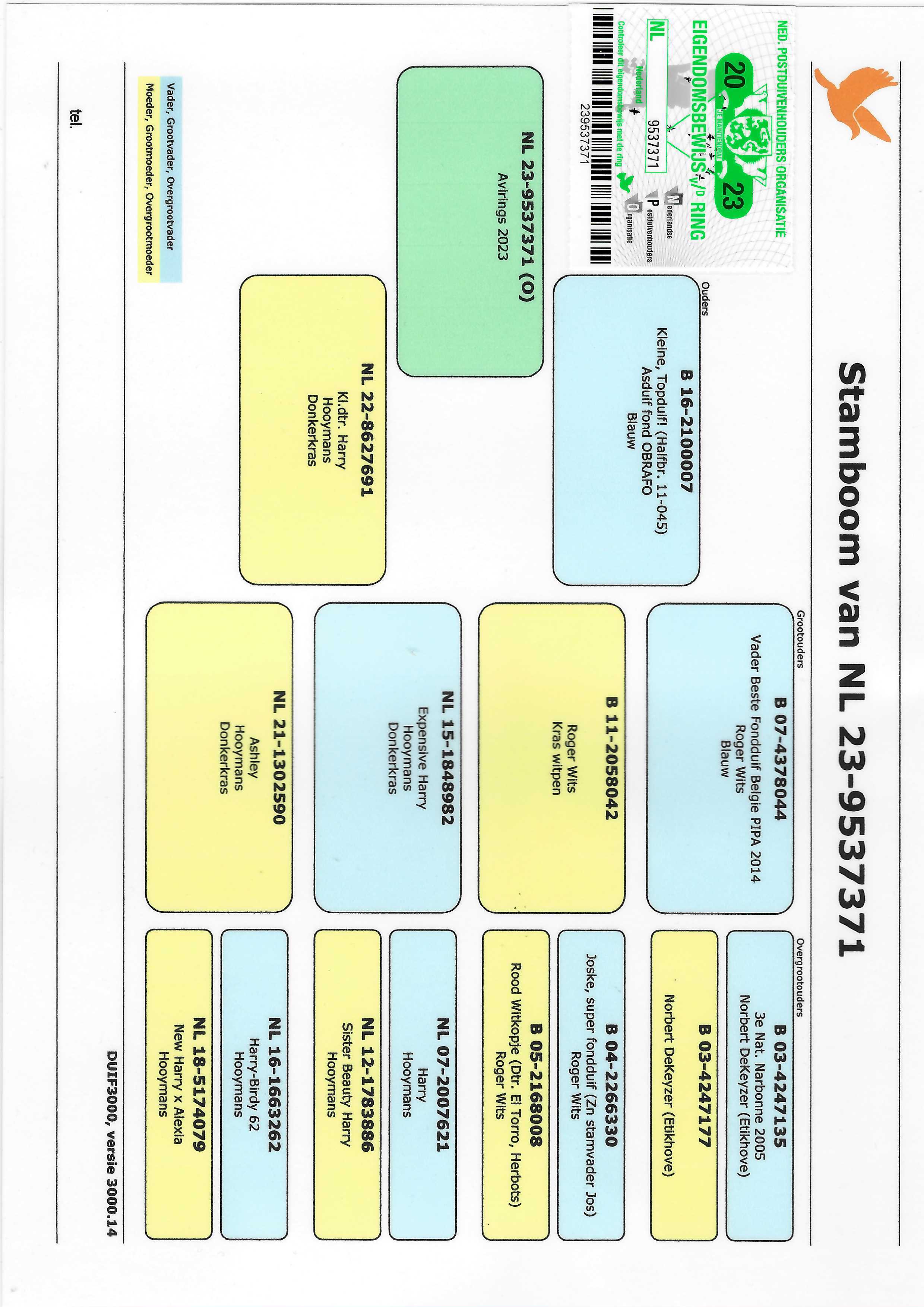 Pigeon pedigree image