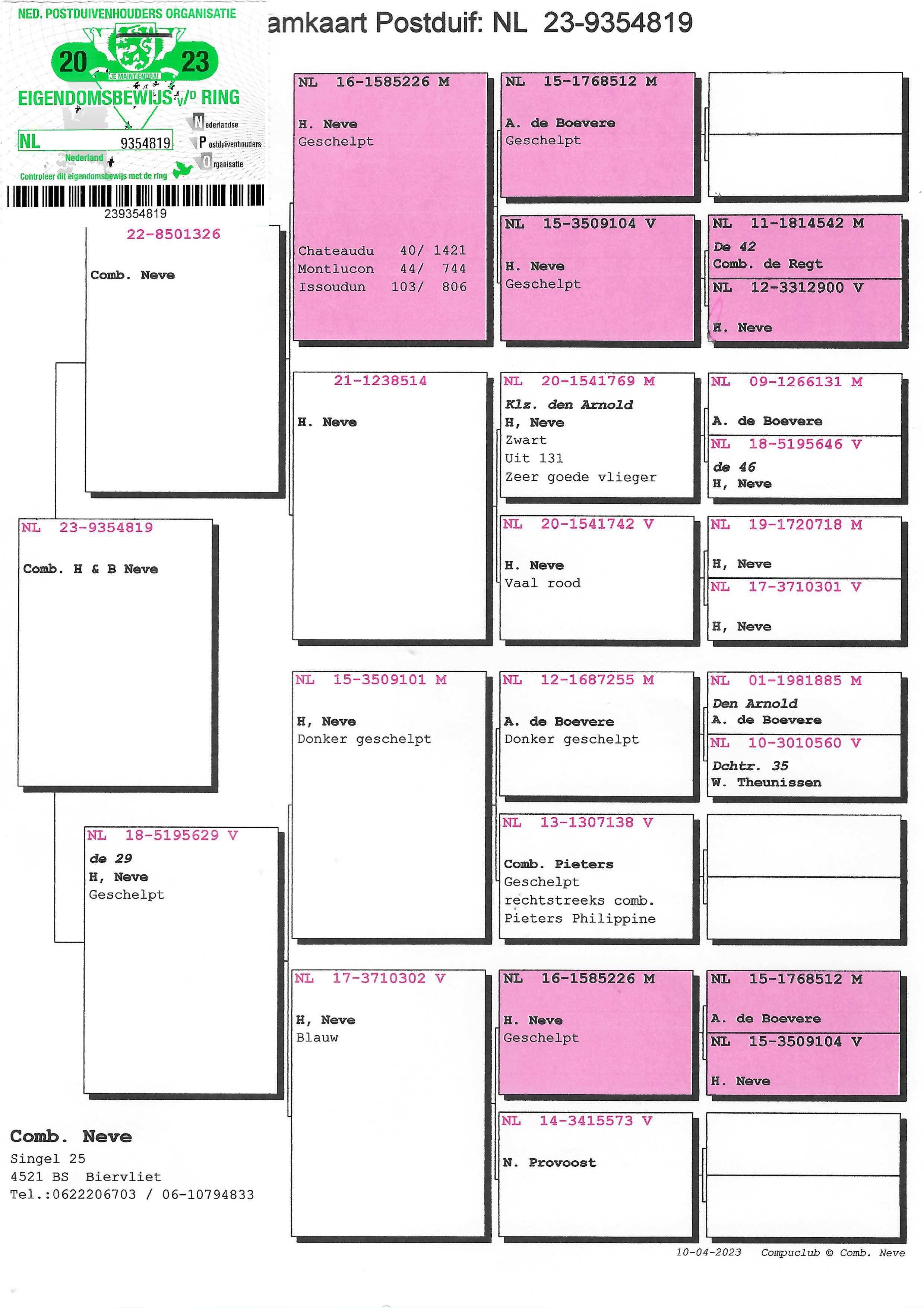 Pigeon pedigree image