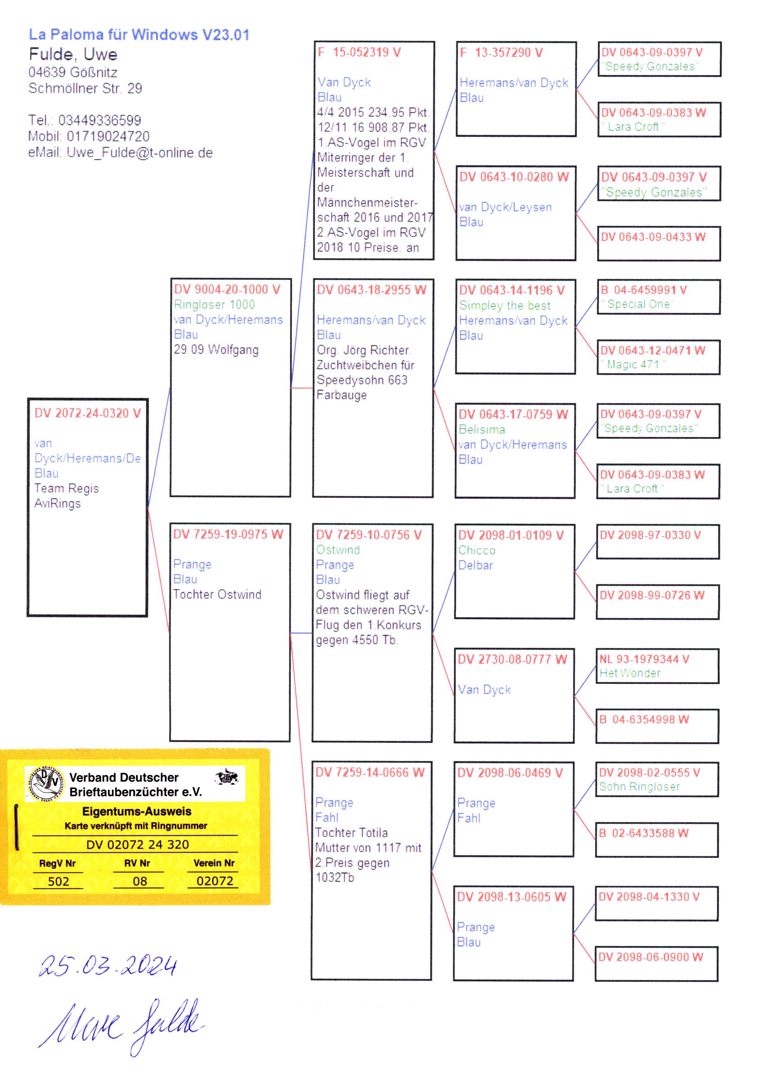 Pigeon pedigree image