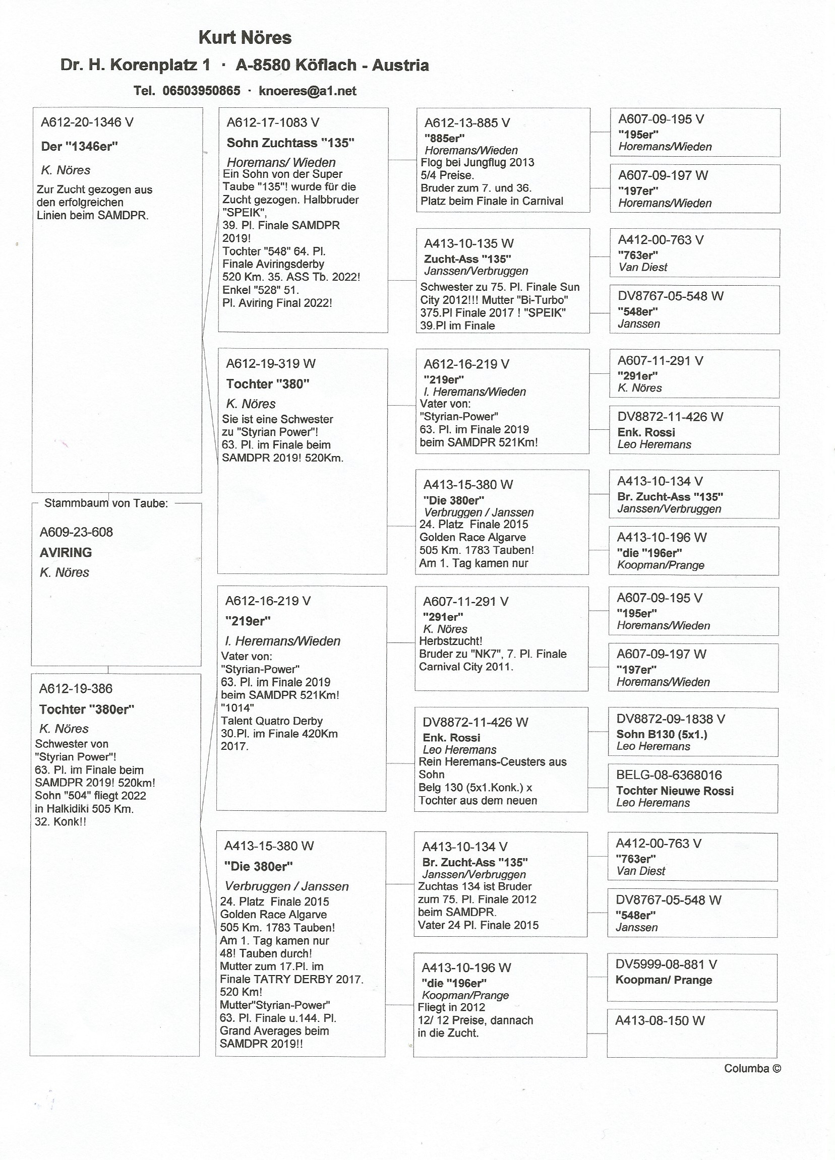 Pigeon pedigree image