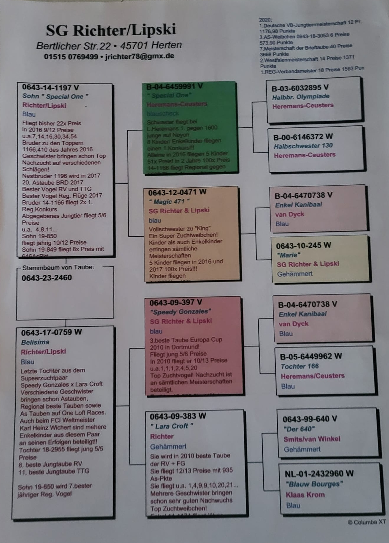 Pigeon pedigree image