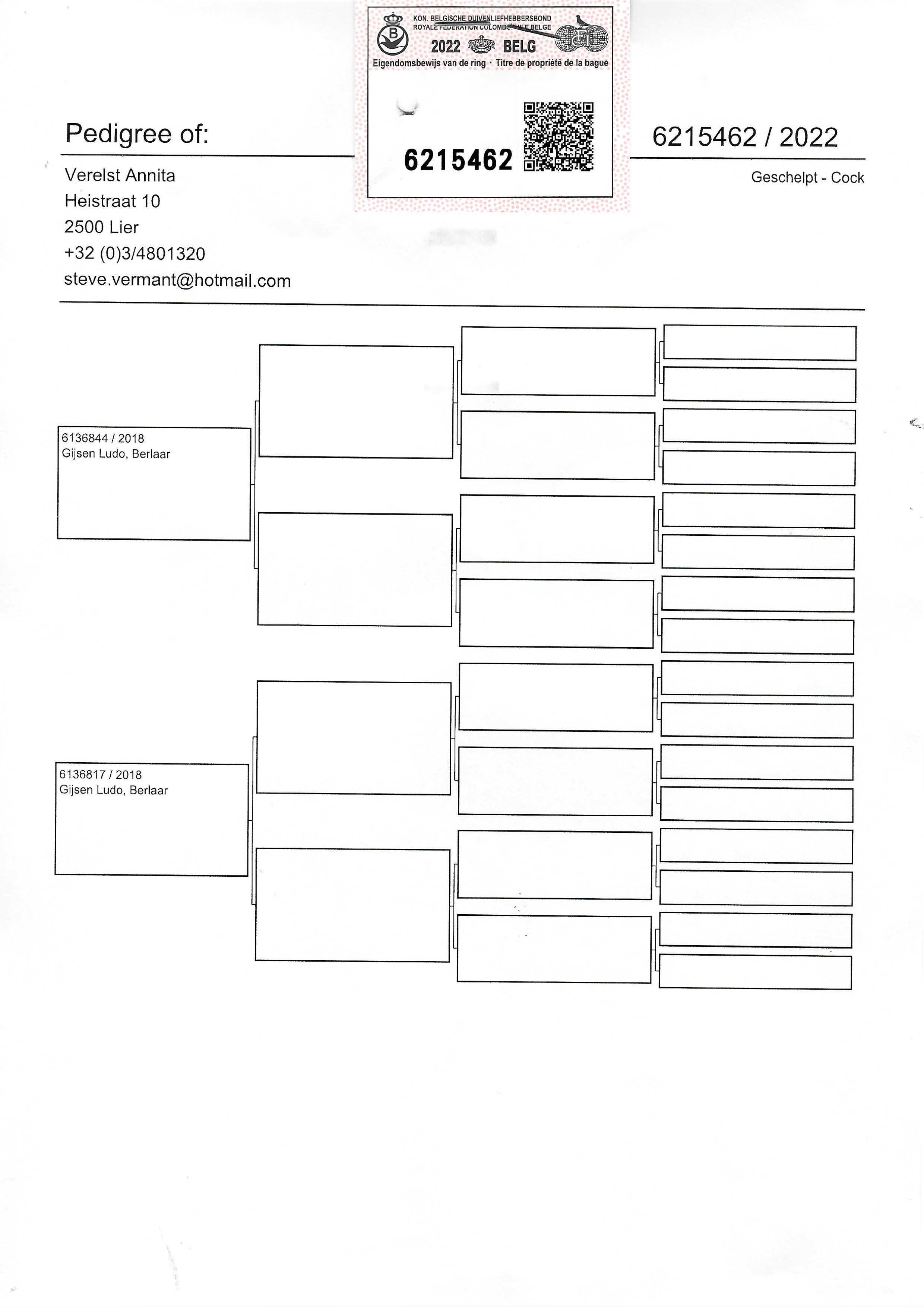 Pigeon pedigree image