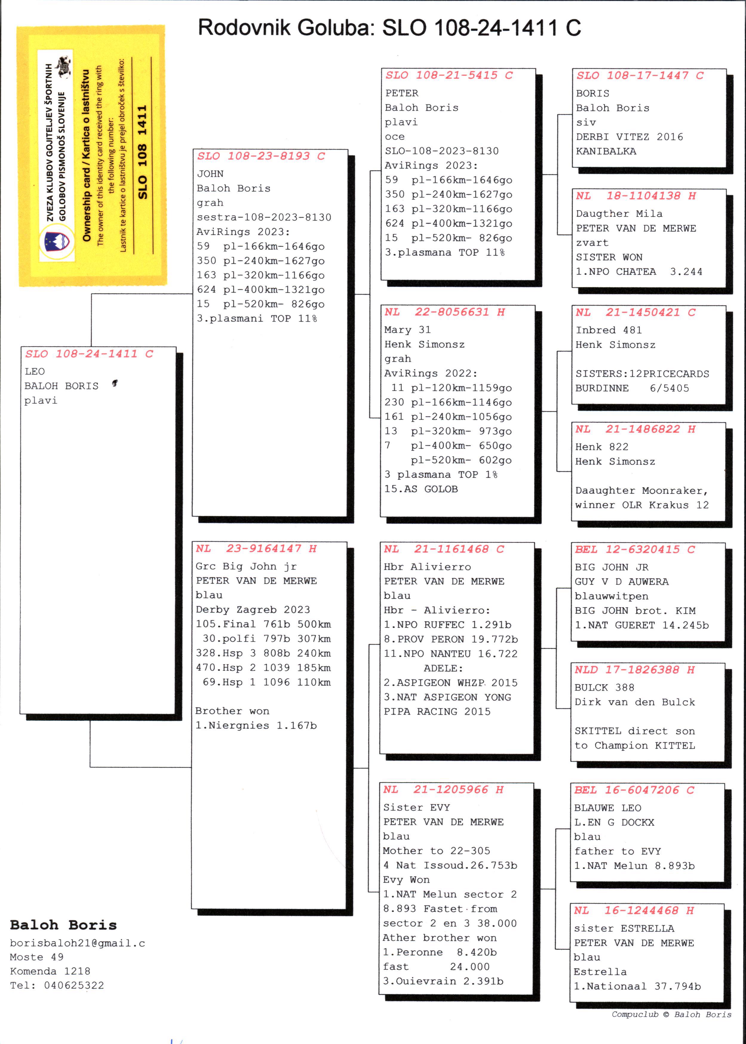 Pigeon pedigree image