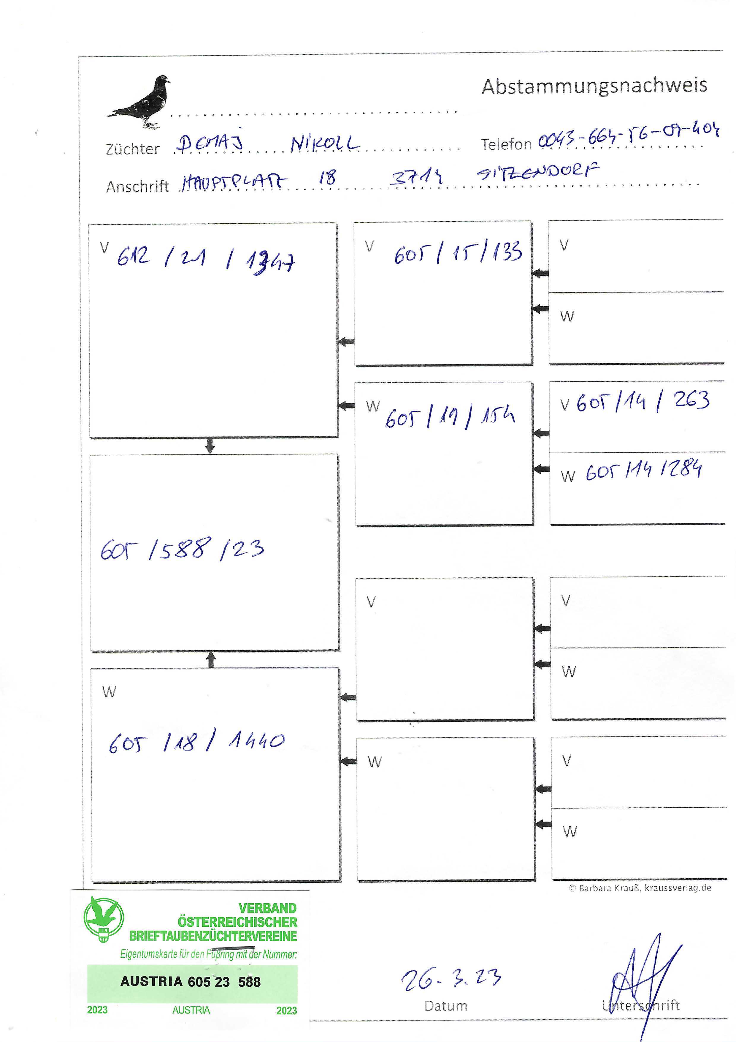Pigeon pedigree image