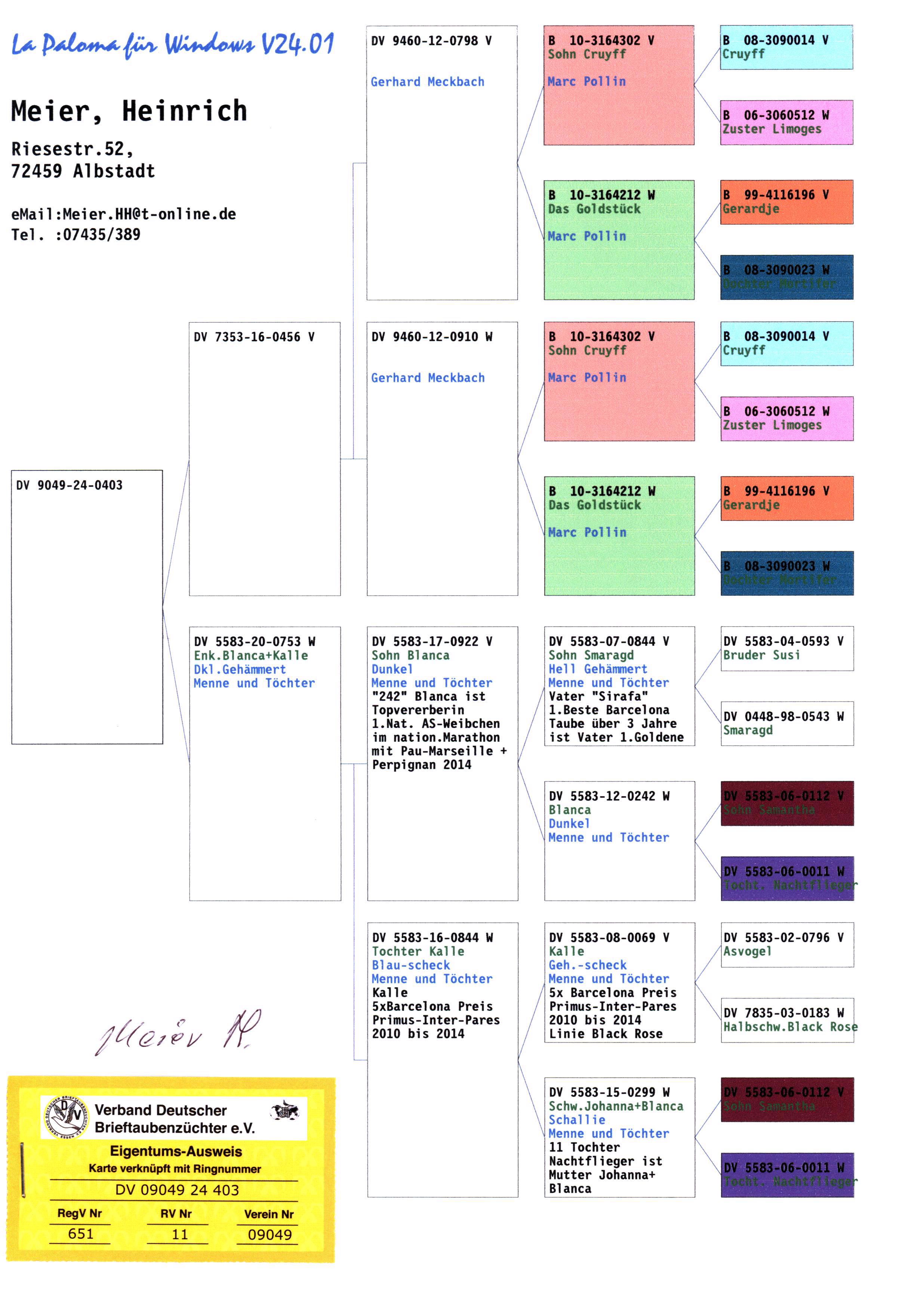 Pigeon pedigree image