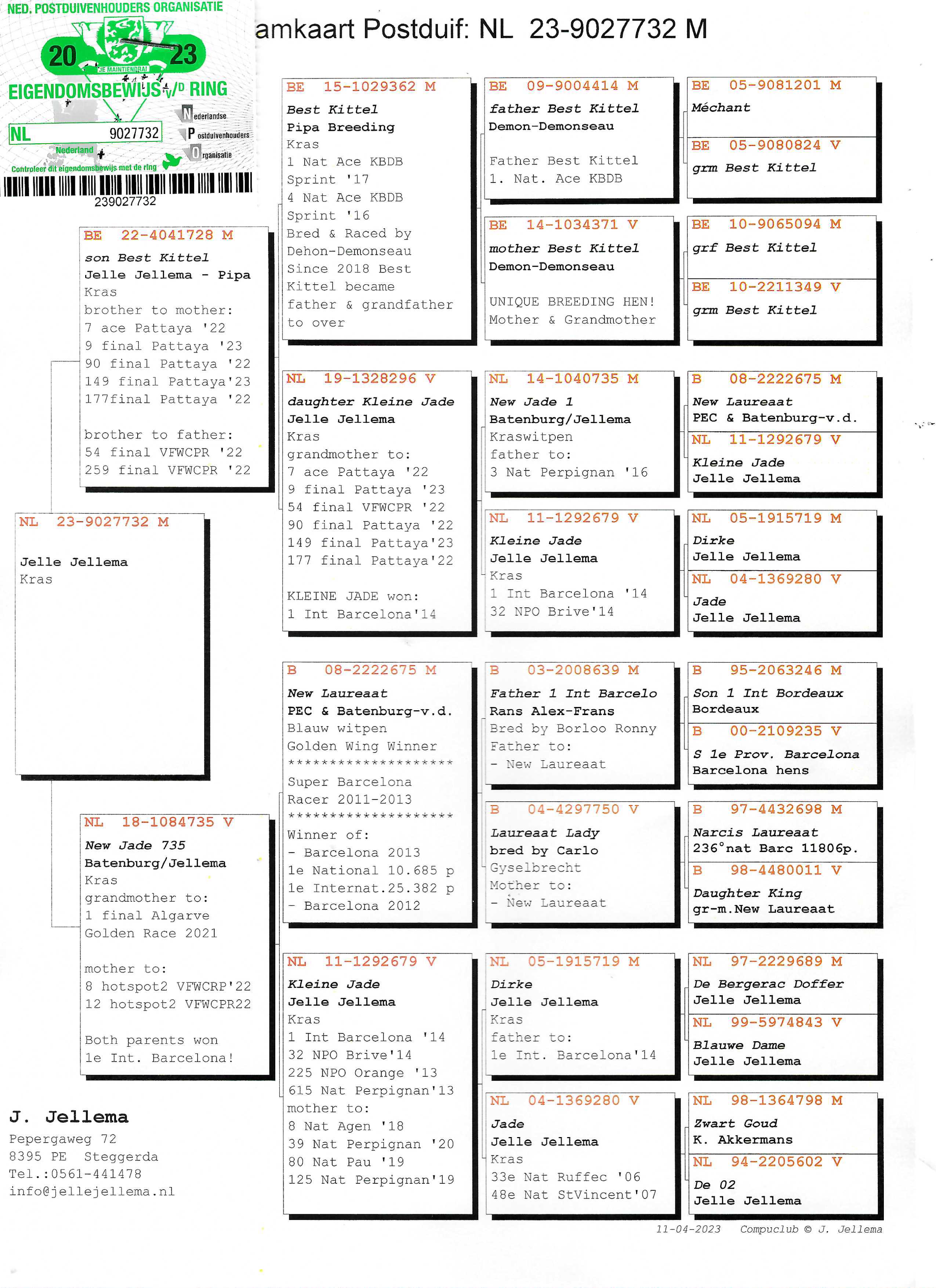 Pigeon pedigree image