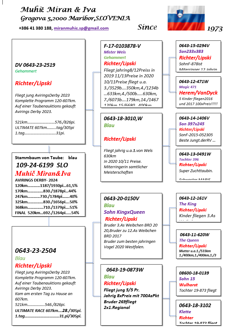 Pigeon pedigree image
