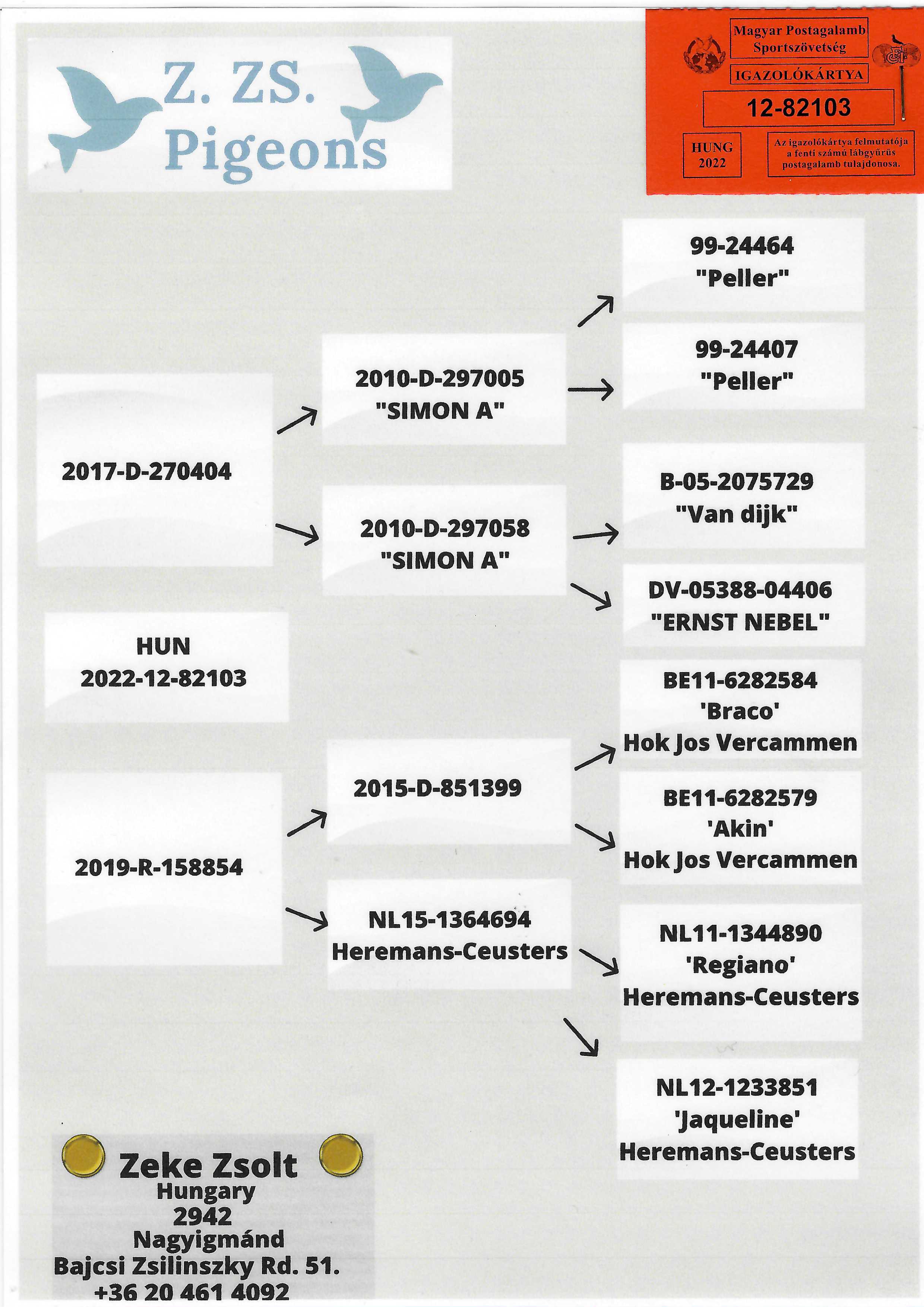 Pigeon pedigree image