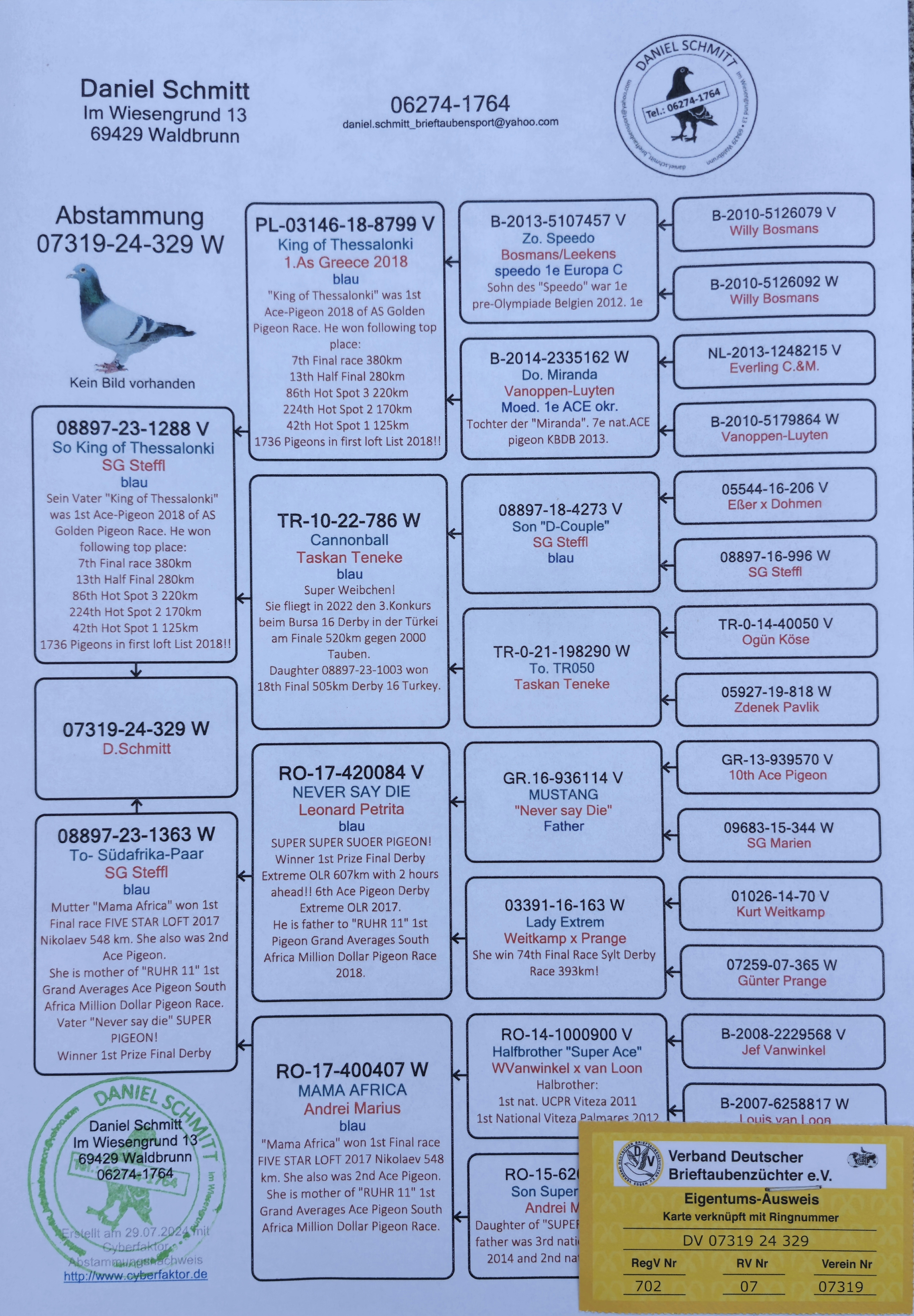 Pigeon pedigree image