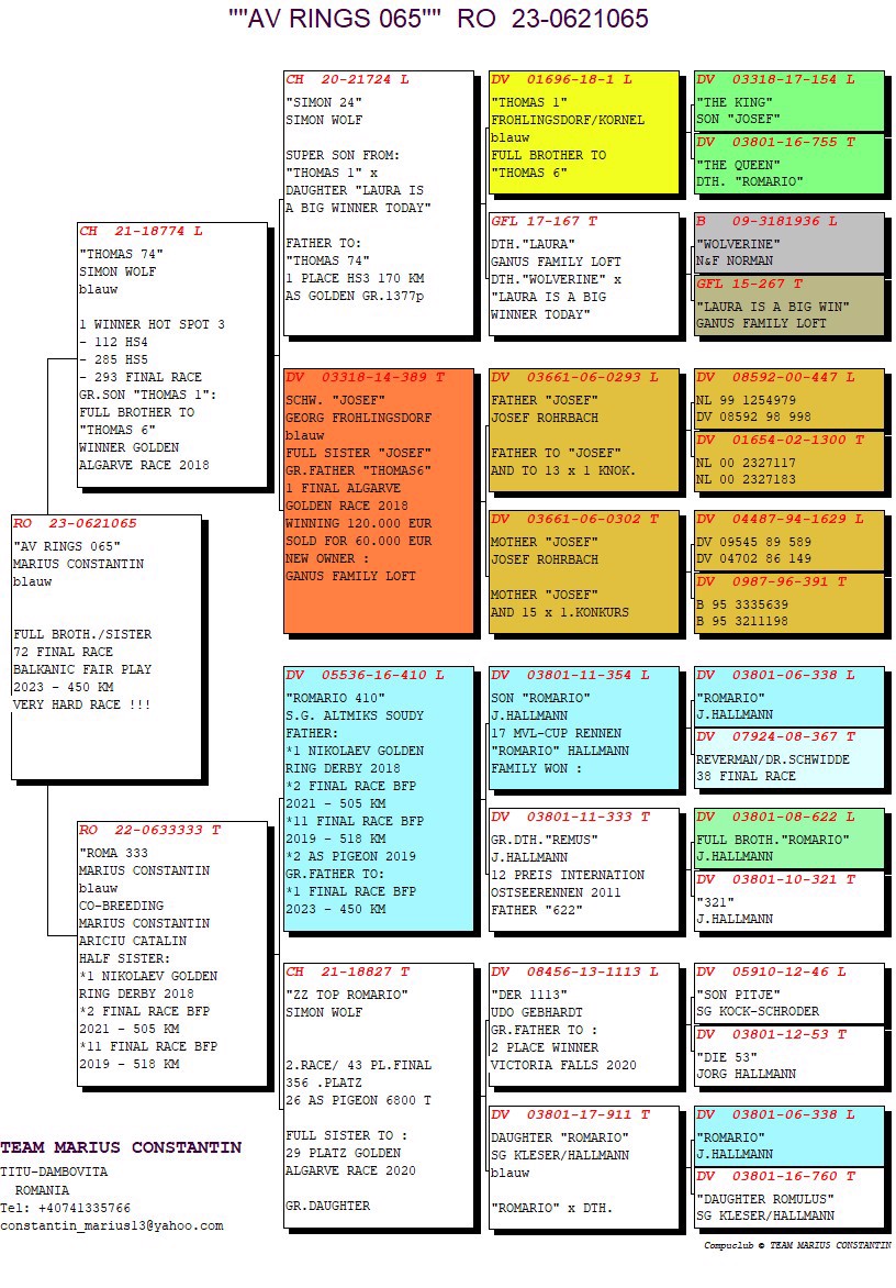 Pigeon pedigree image