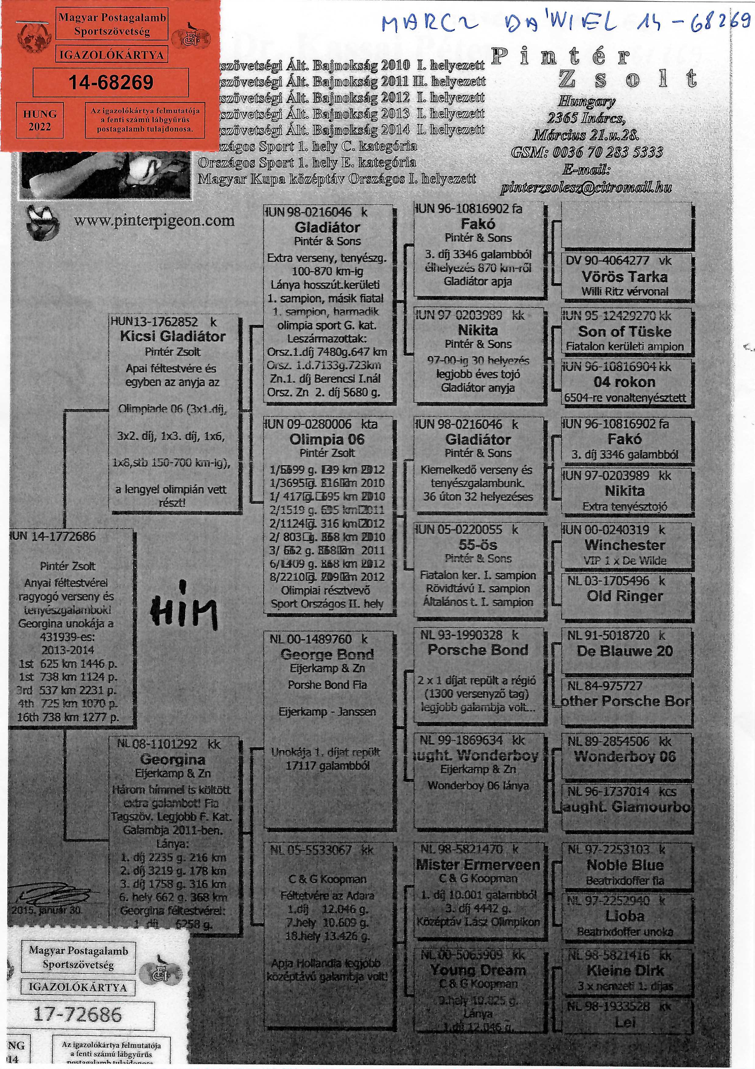 Pigeon pedigree image