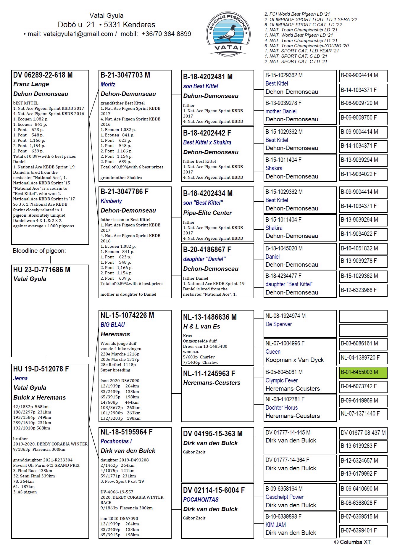 Pigeon pedigree image