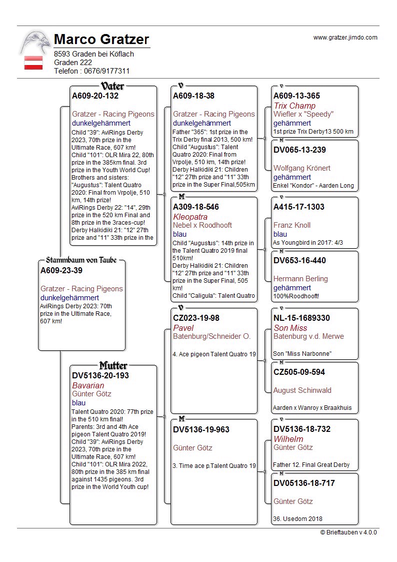 Pigeon pedigree image