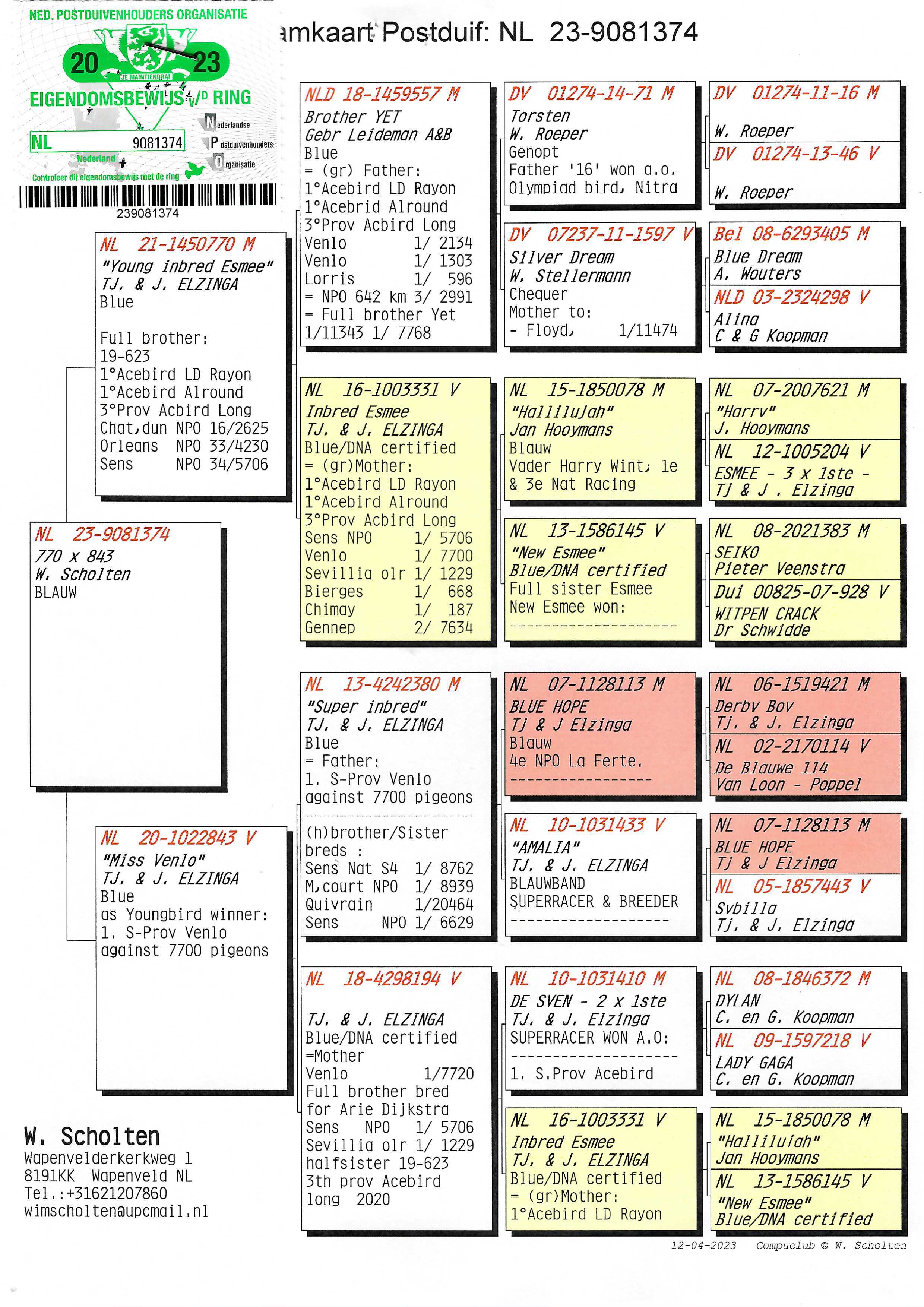 Pigeon pedigree image