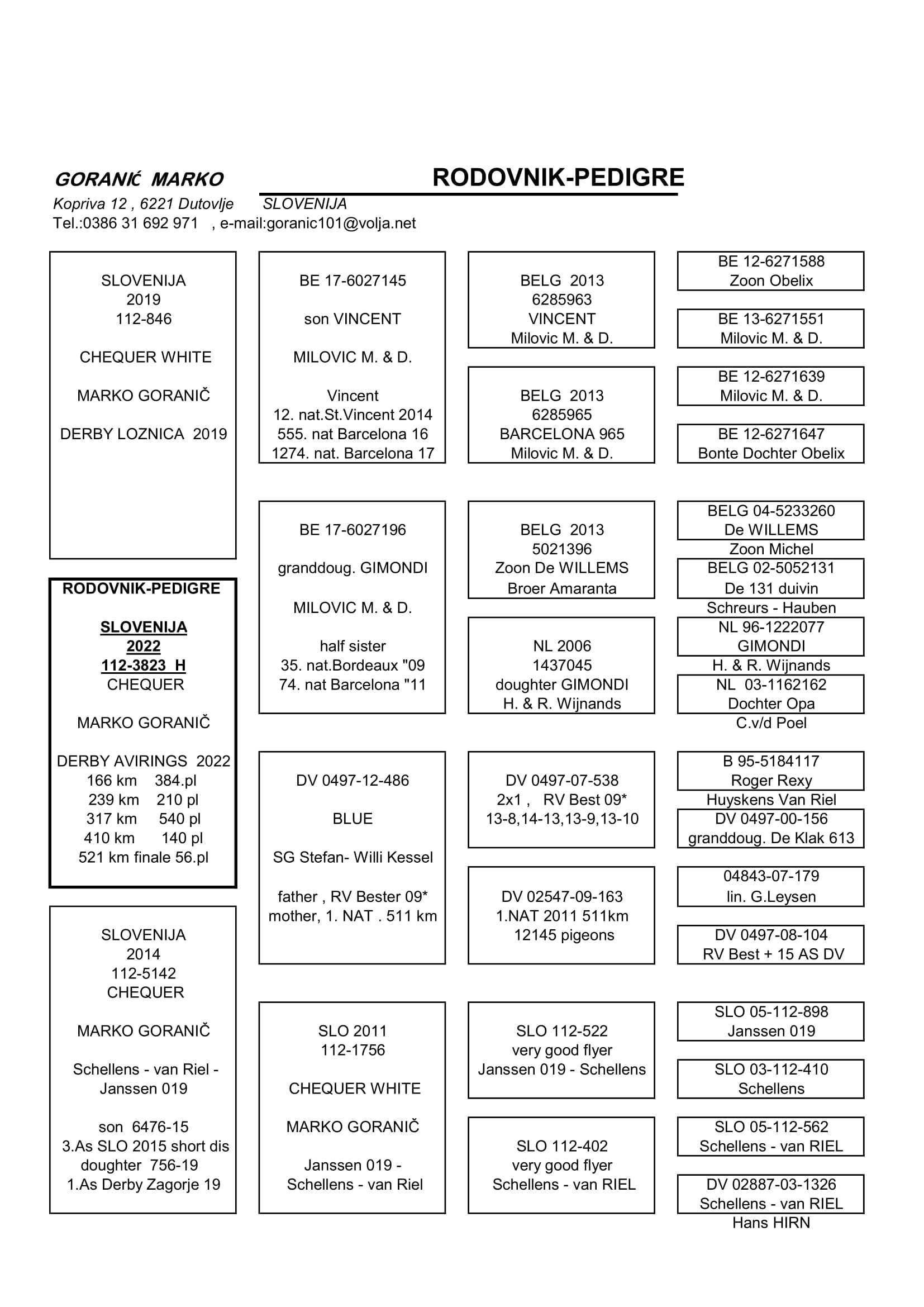Pigeon pedigree image