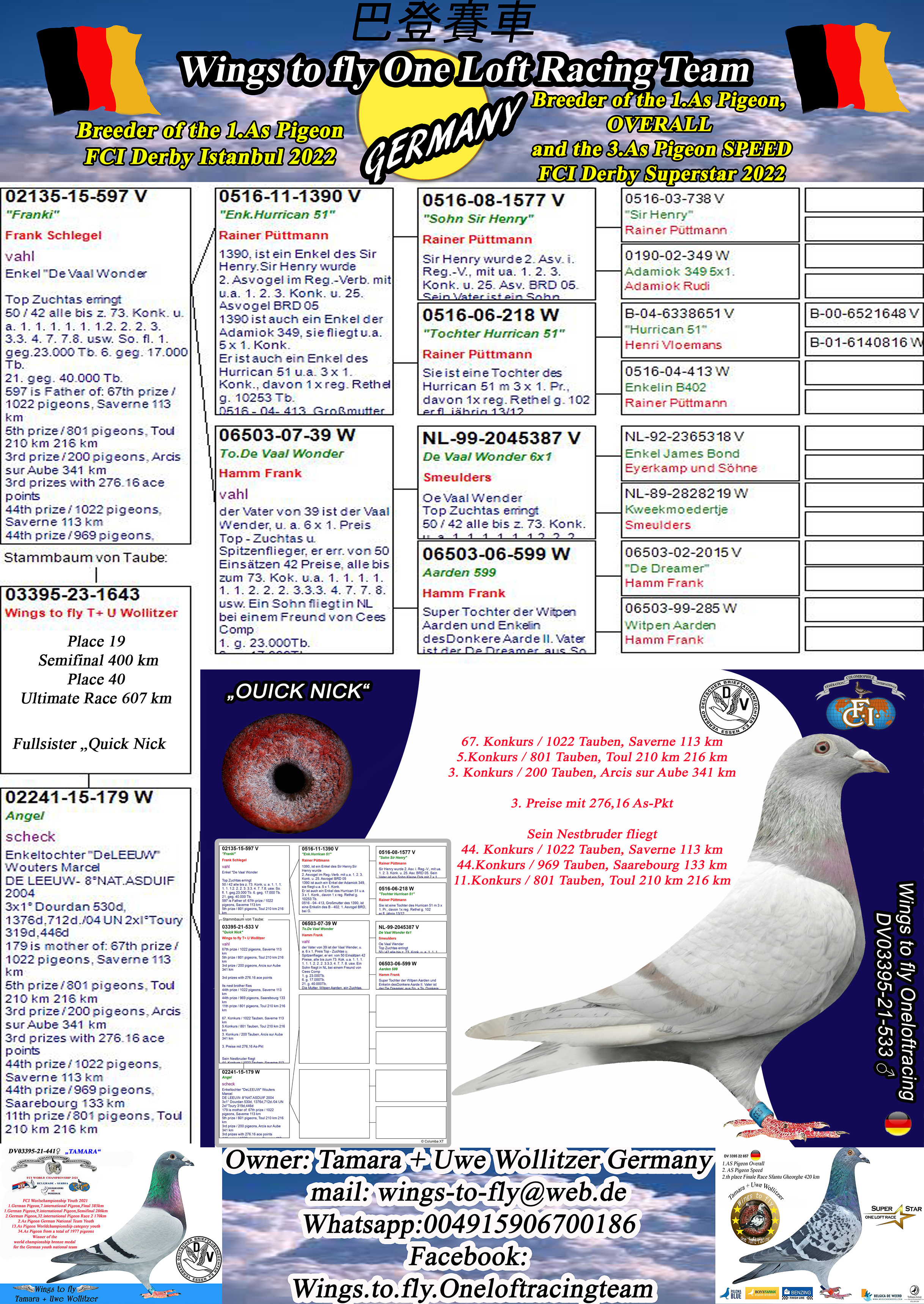 Pigeon pedigree image