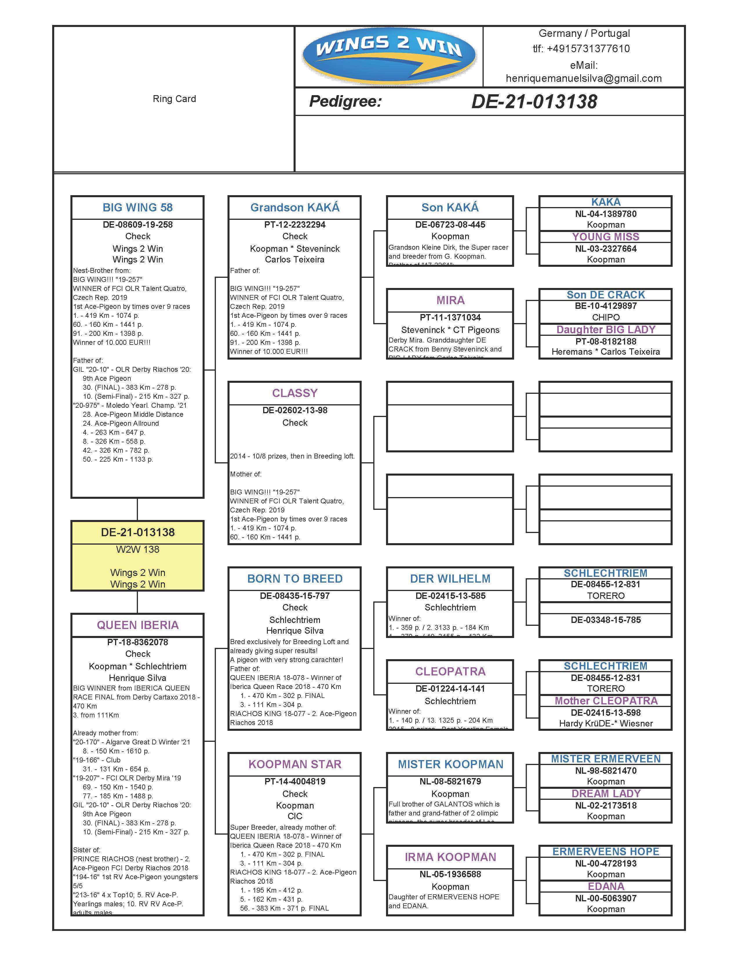 Pigeon pedigree image
