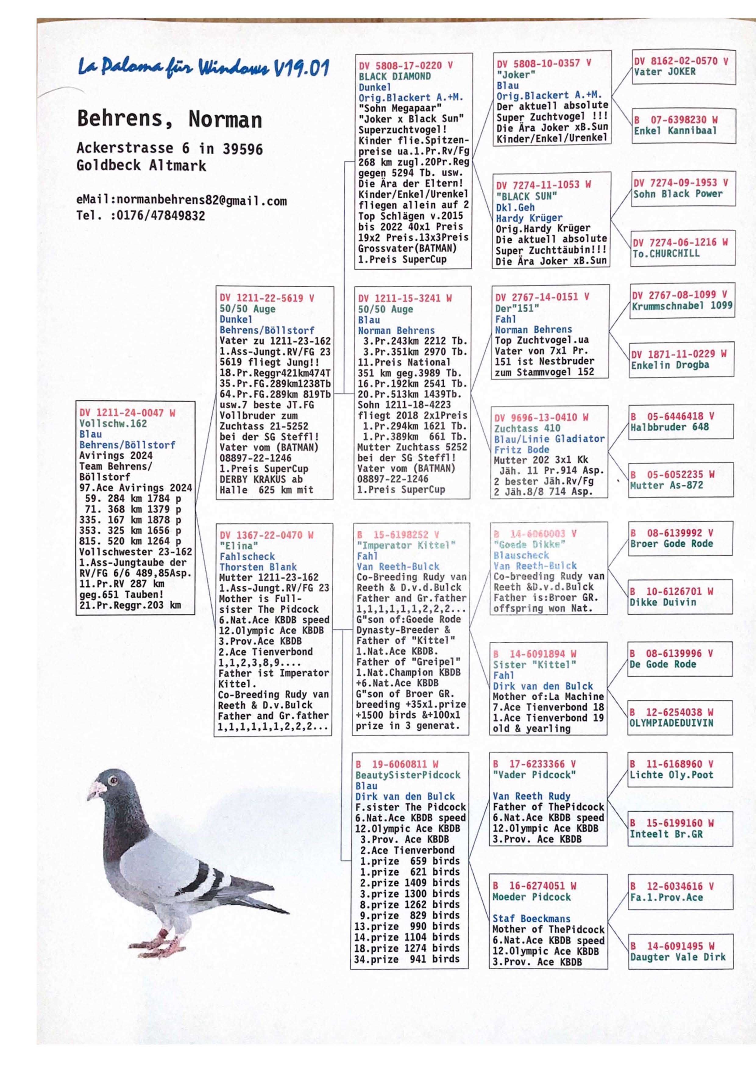 Pigeon pedigree image