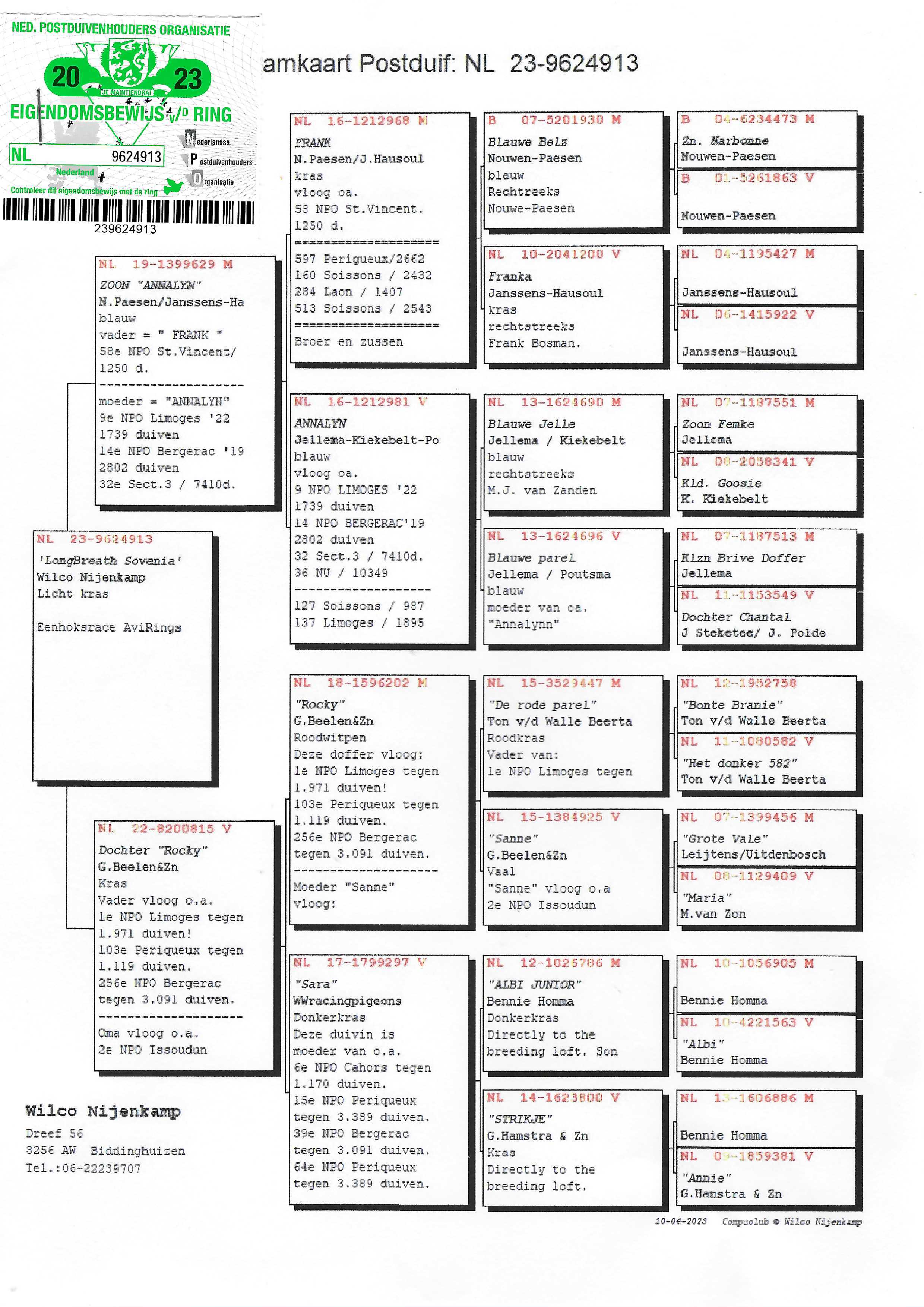Pigeon pedigree image
