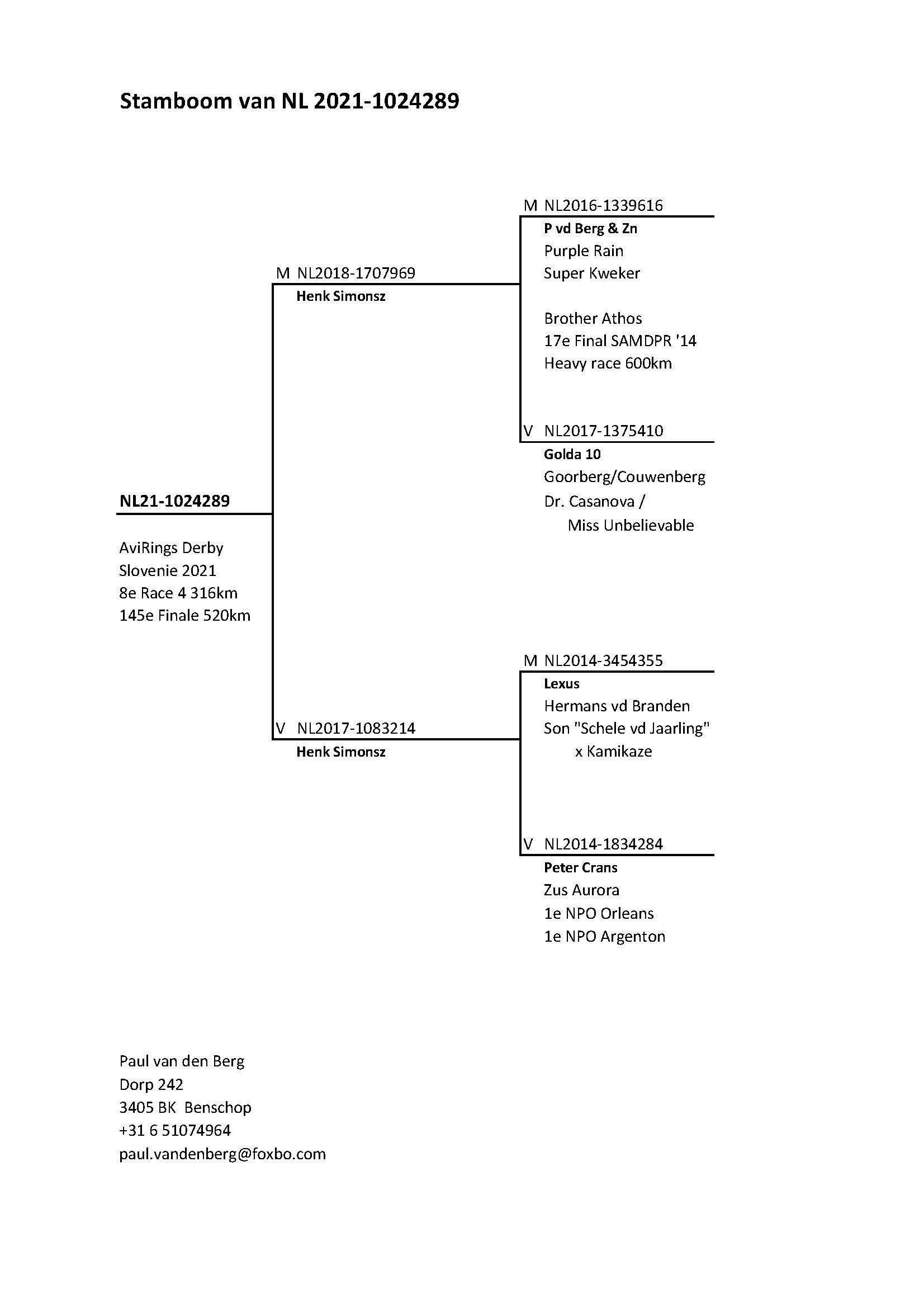 Pigeon pedigree image