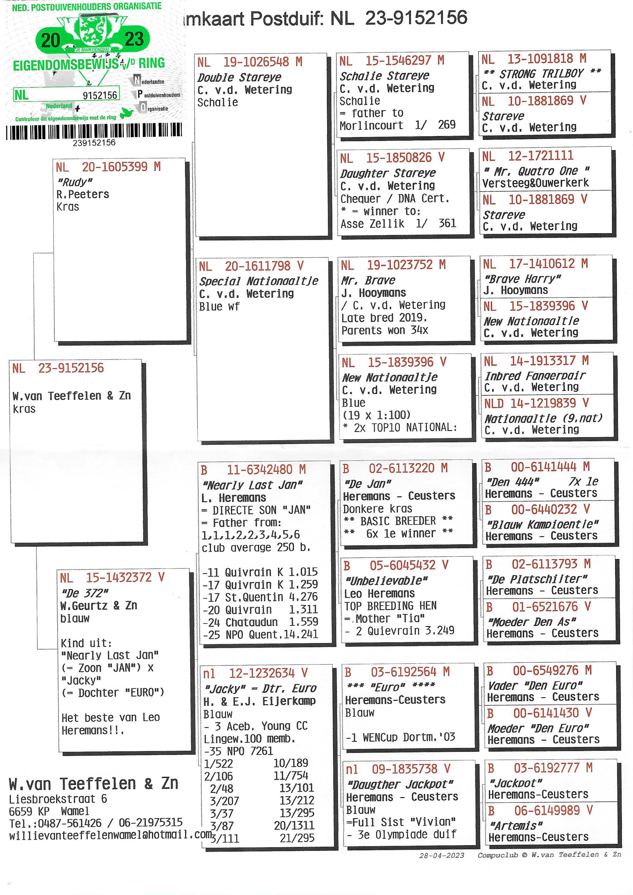 Pigeon pedigree image