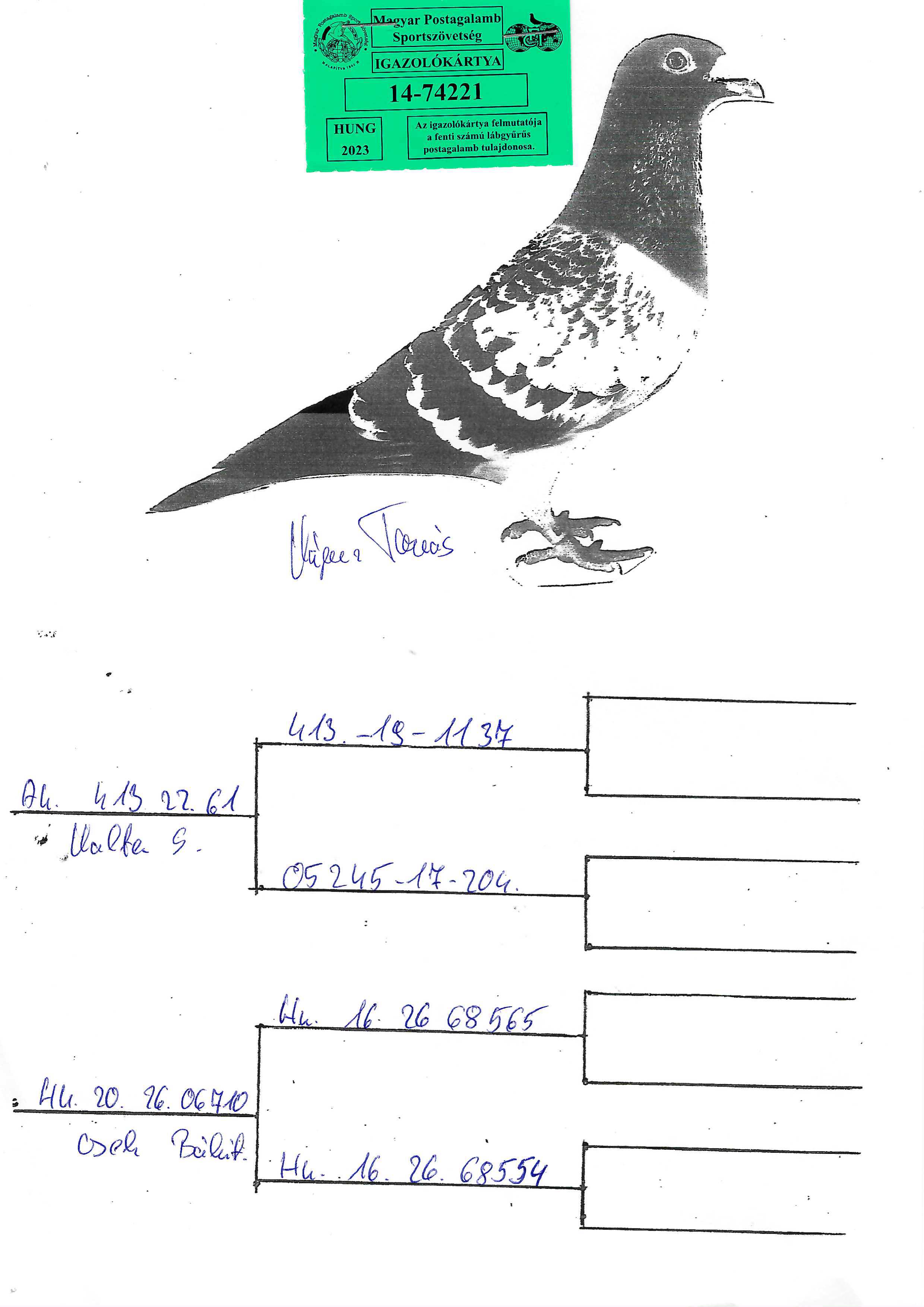 Pigeon pedigree image